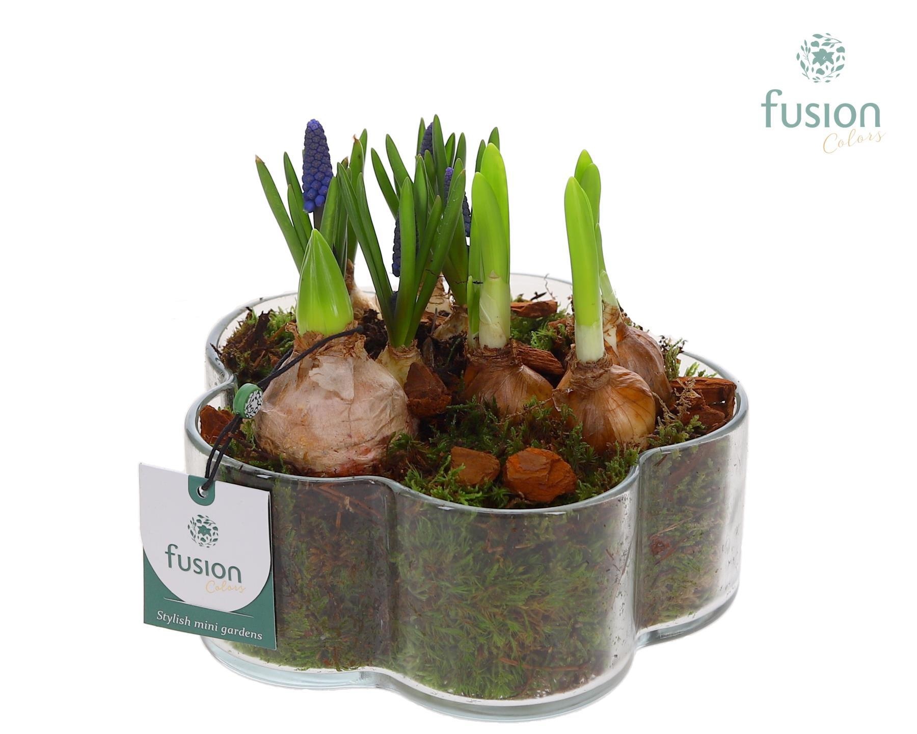 Glazen Bloemschaalmet Mixbol arrangement, D 18