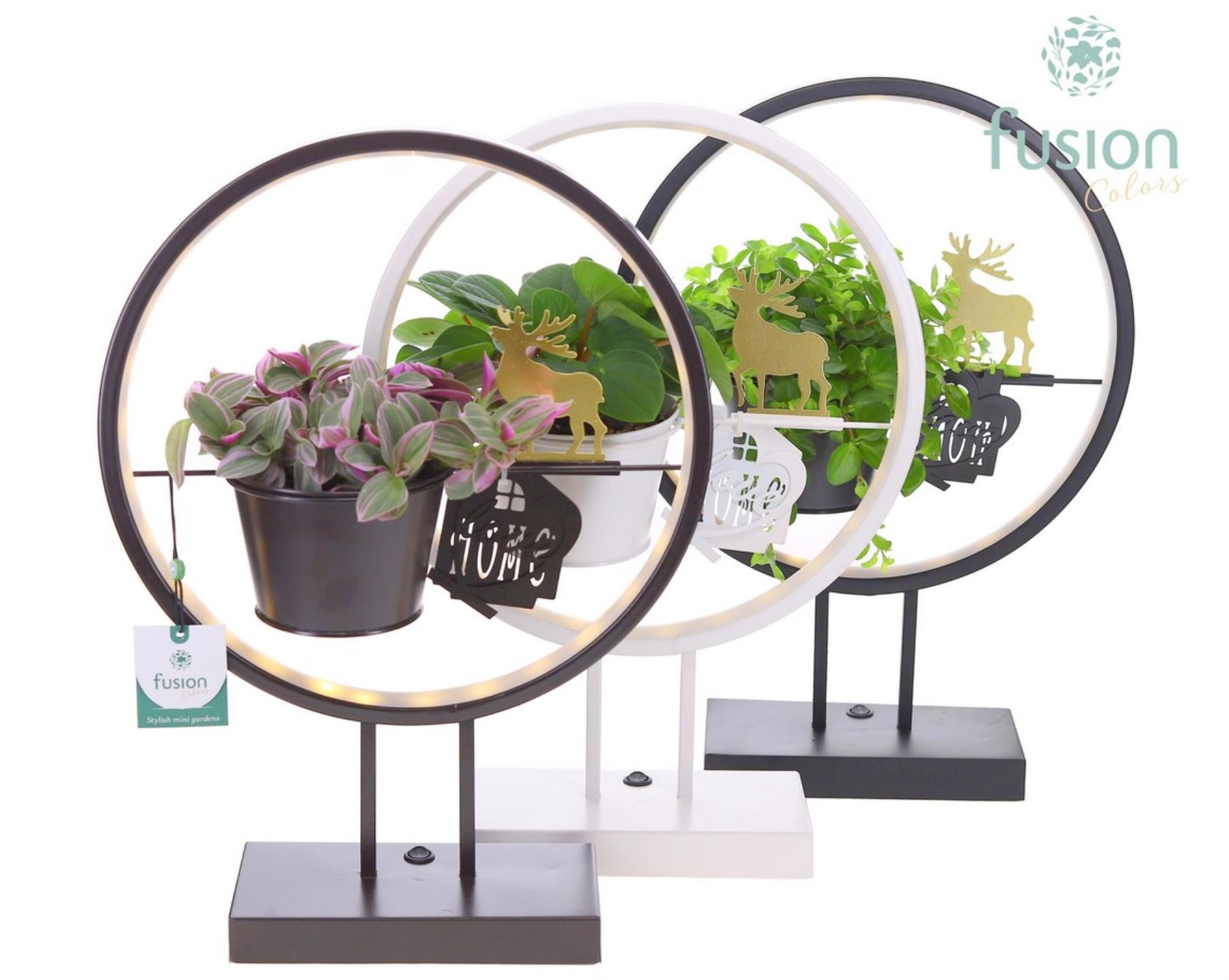 Metalen LED globe met LoveHome en groene planten mix, D 30