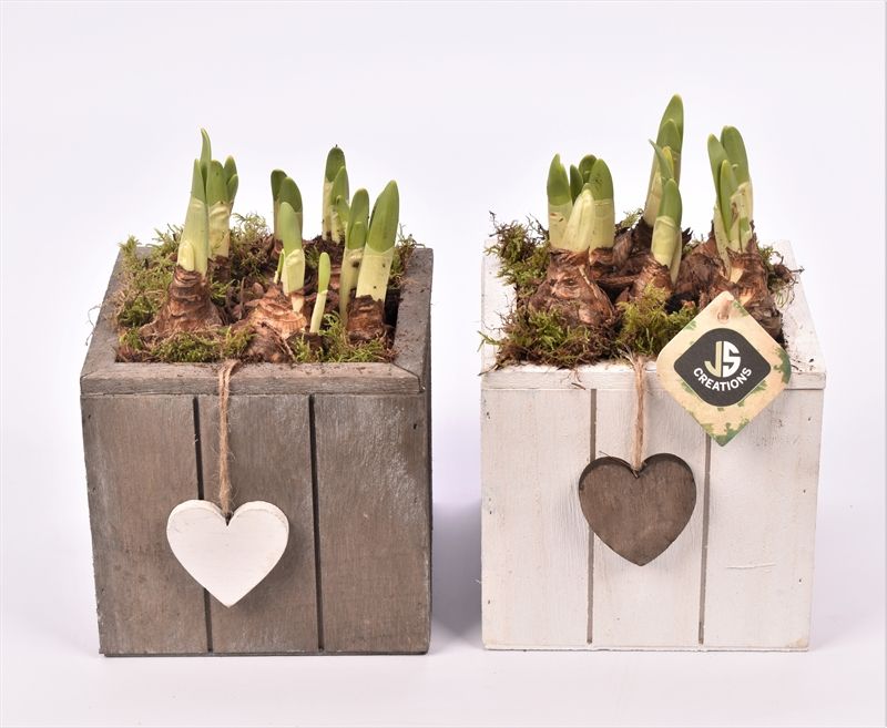 Hout vierkant hart gr/wit 15x15cm, D 15