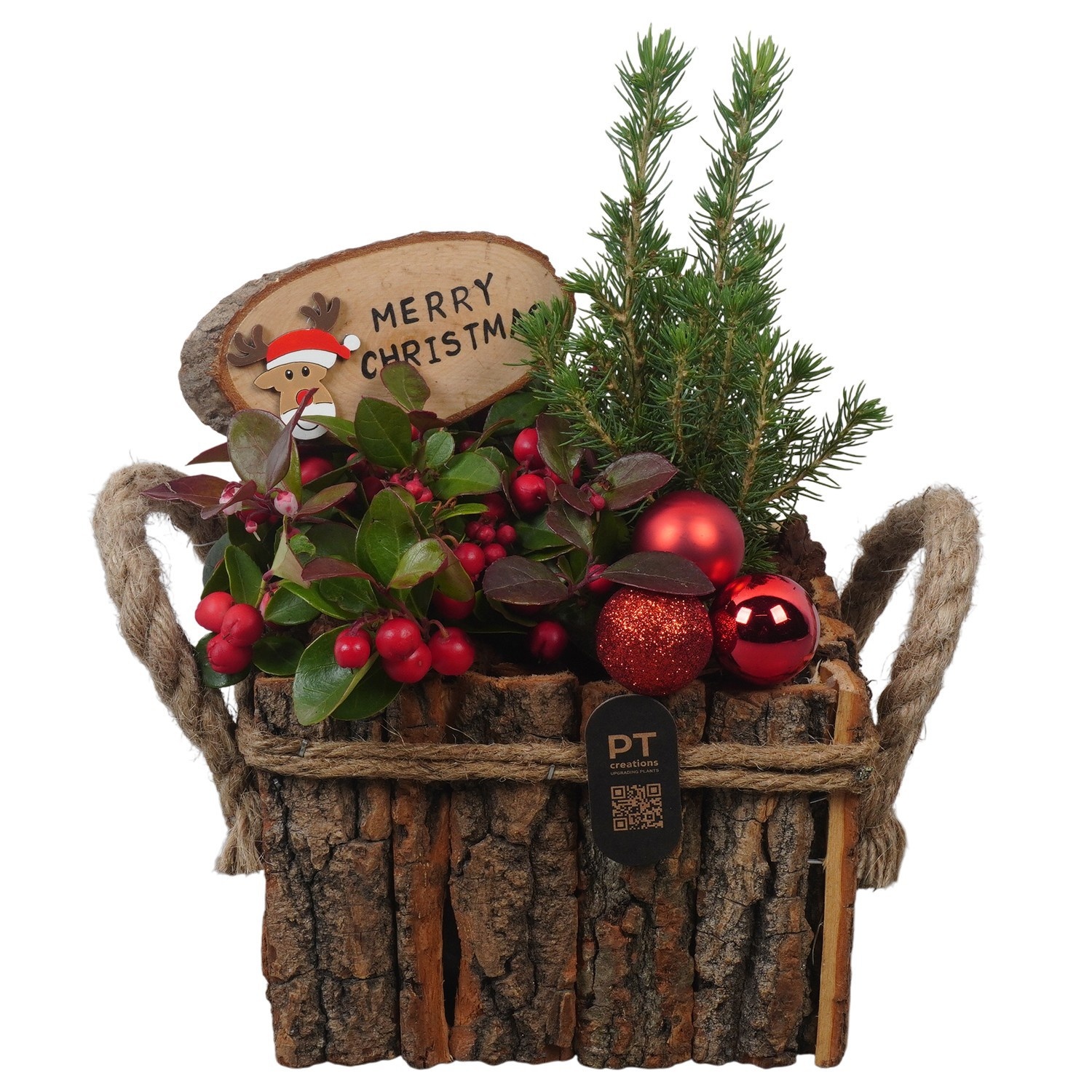 PTCHO5418 Arrangement Christmas Outdoor in houten bak, D 16