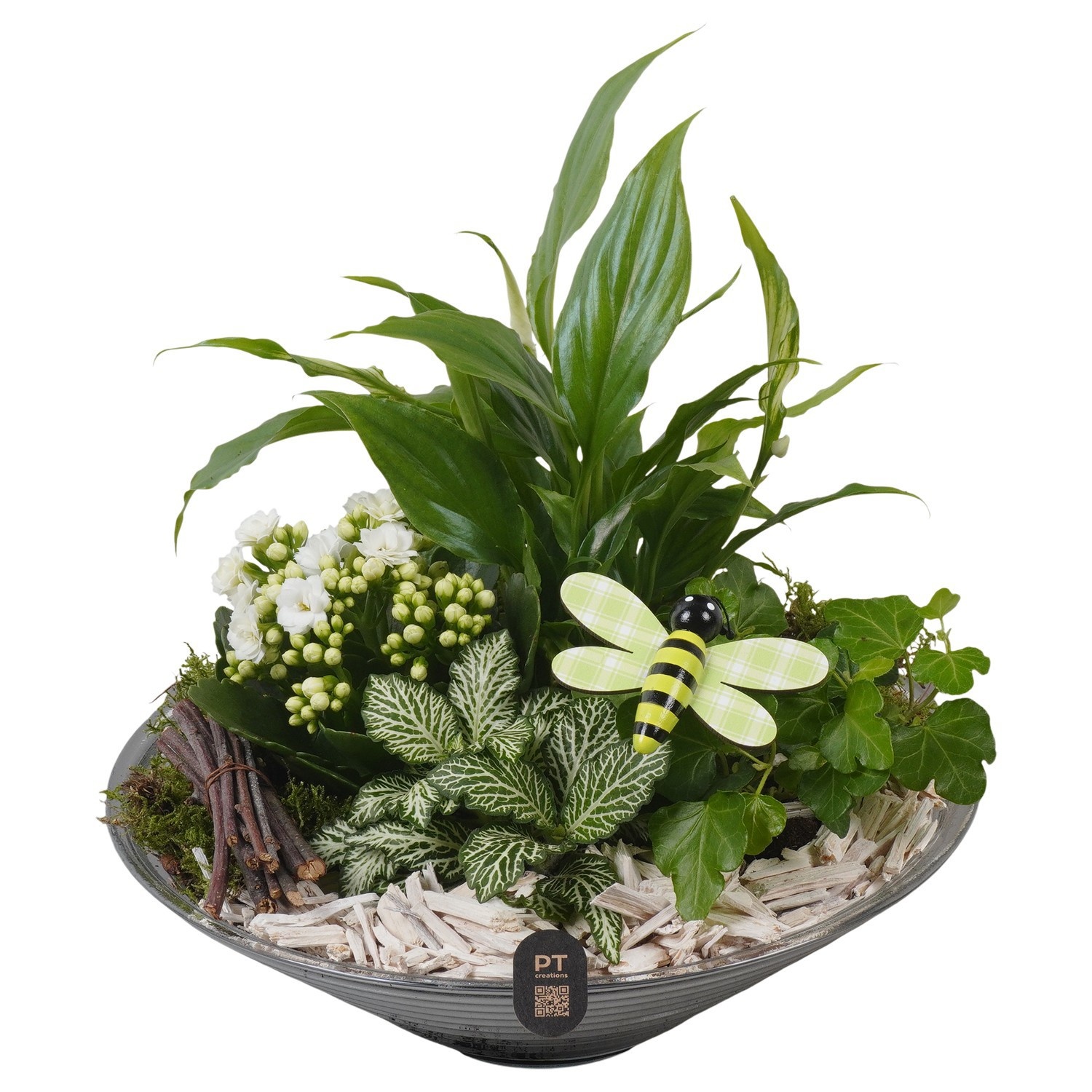 PTIG2667 Arrangement Indoor in glas schaal, D 26