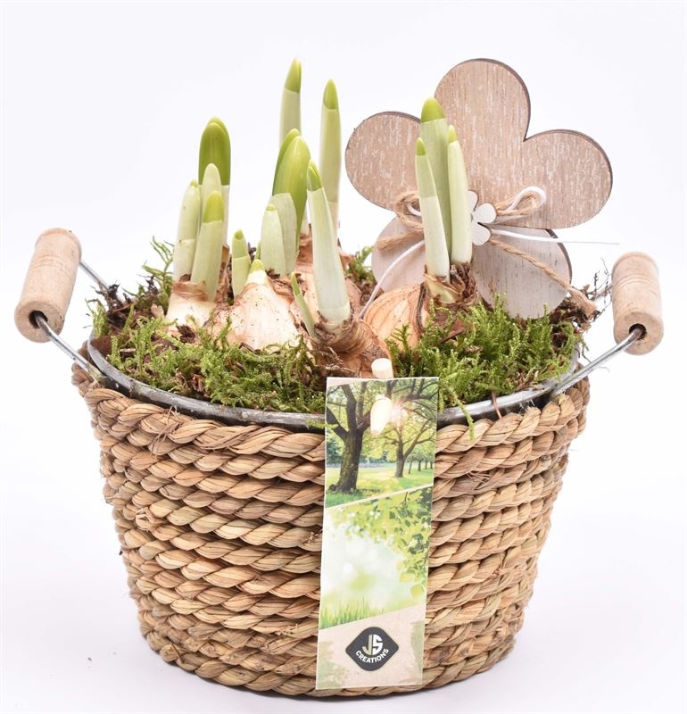 Touw met zink schaal 15cm, D 15