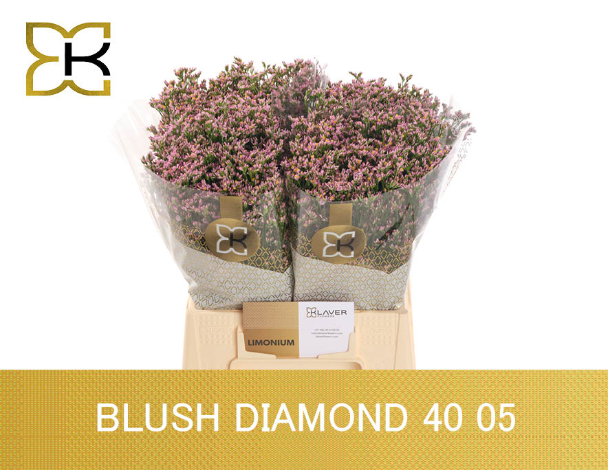Лимониум Блаш Даймонд 40, шт.