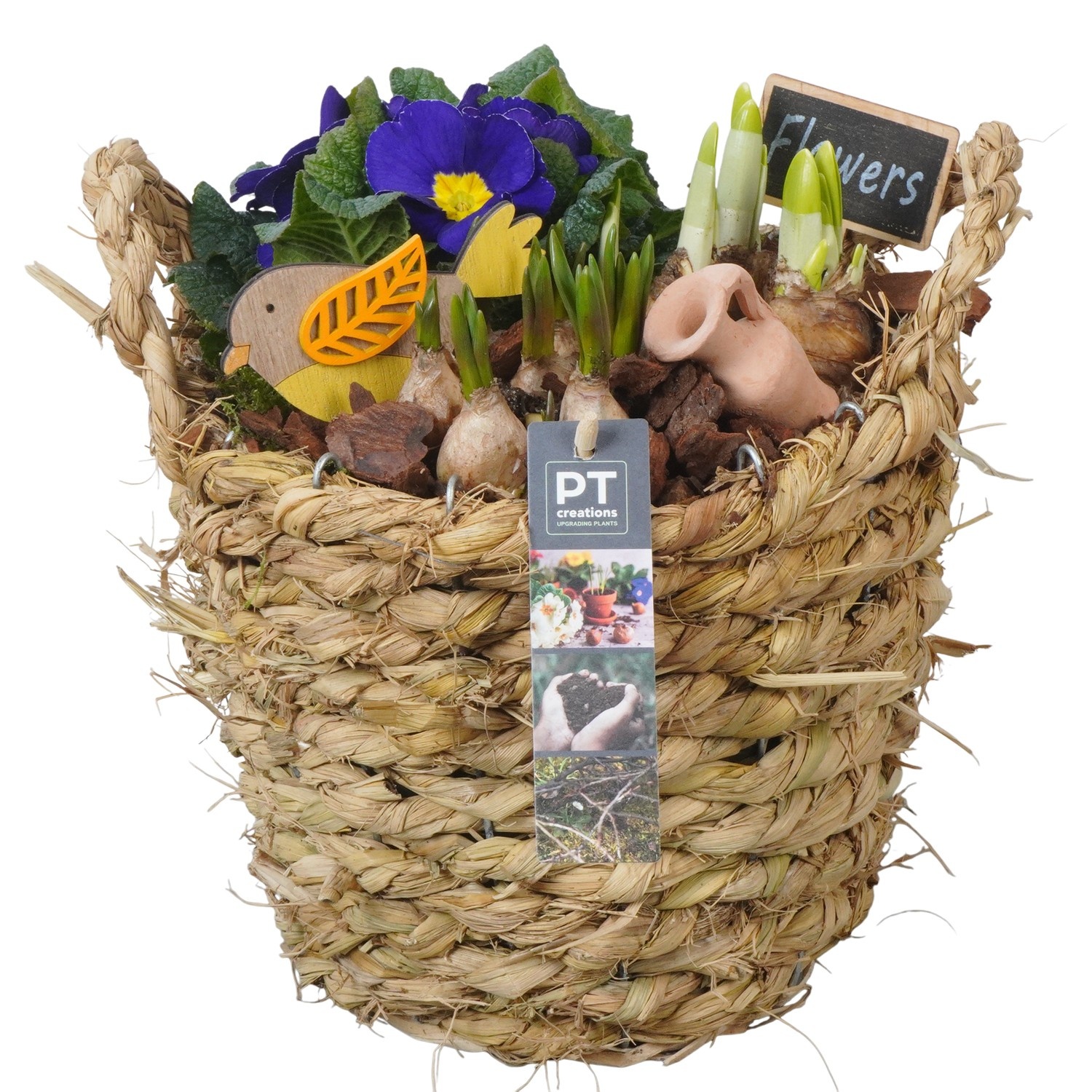 PTBM3837 Arrangement Flower Bulbs Mix in rieten mand, D 22
