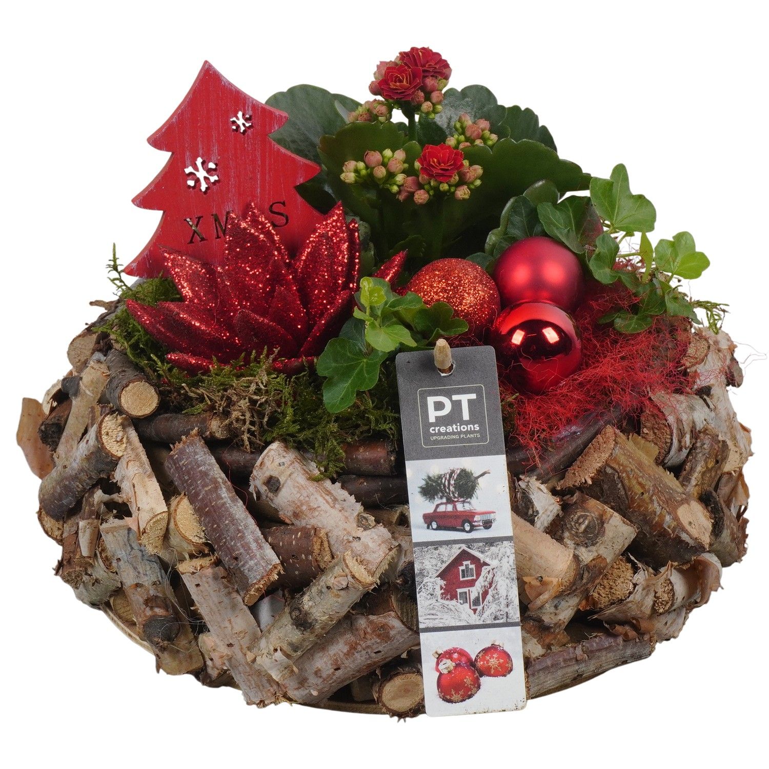 PTCHR7352 Arrangement Christmas Red in houten pot, D 23 cm