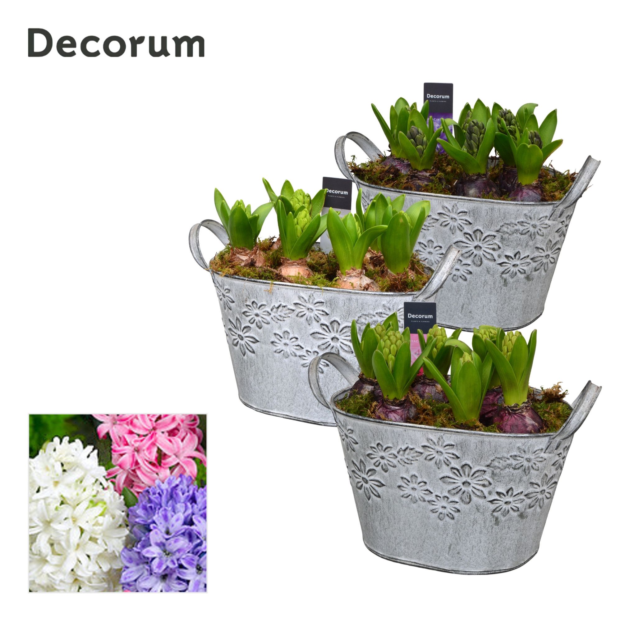 Hyacint Flower Basket HL12633 [PURE], D 21