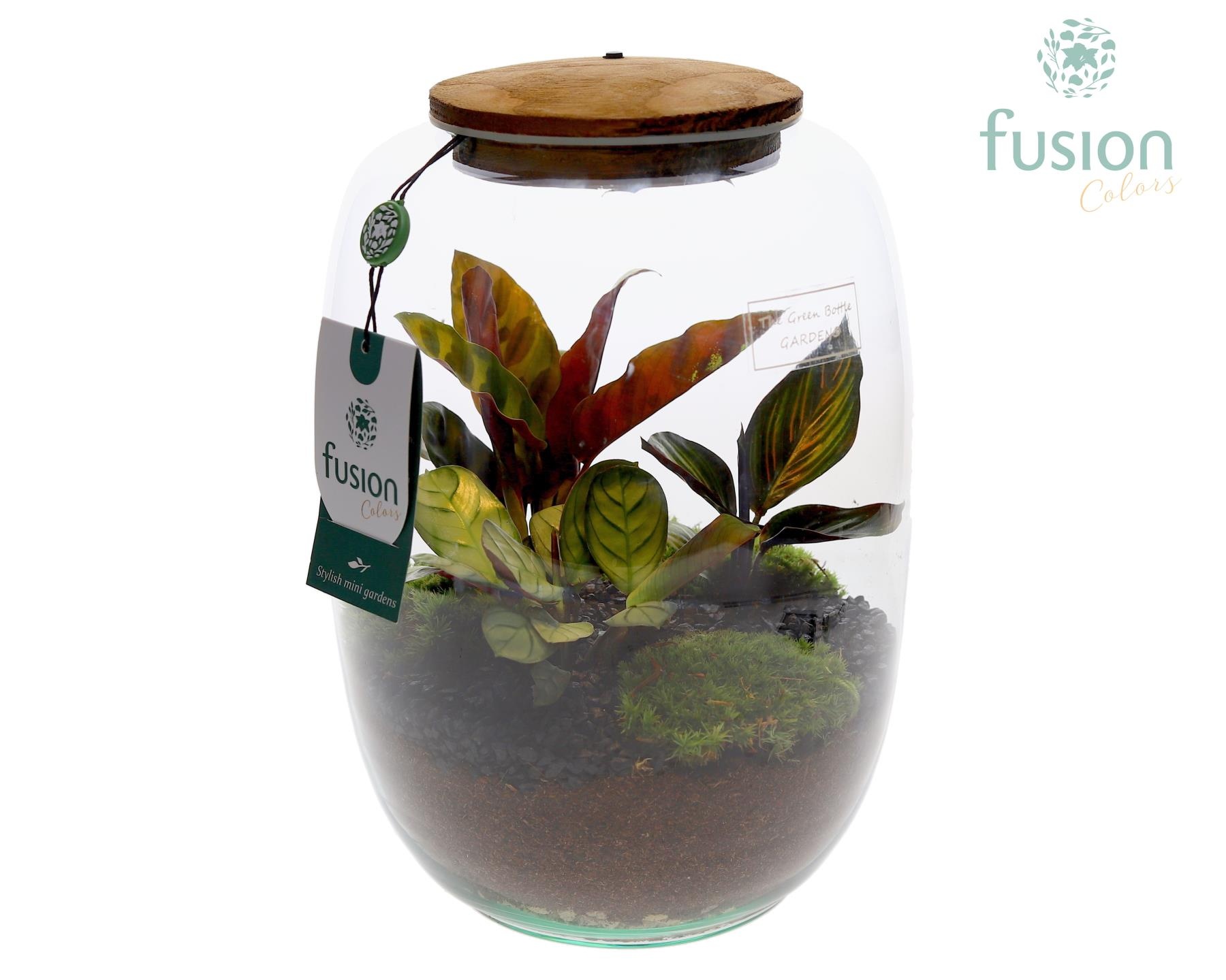 Green Bottle Isabella Large Terrarium met groene planten, D 19 cm Green Bottle Isabella Large Terrarium met groene planten, D 19 cm
