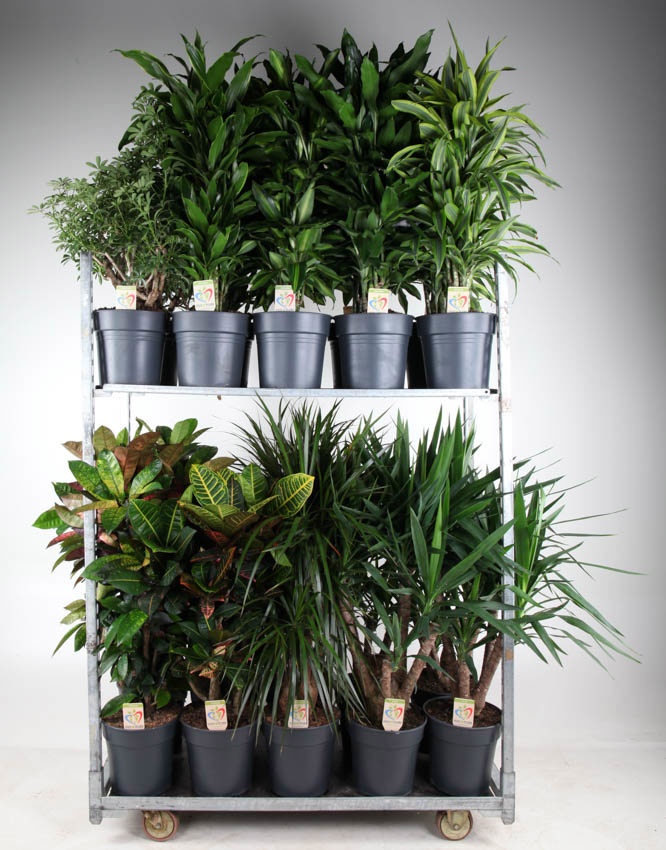 Mix Winter Promo 09, D 27