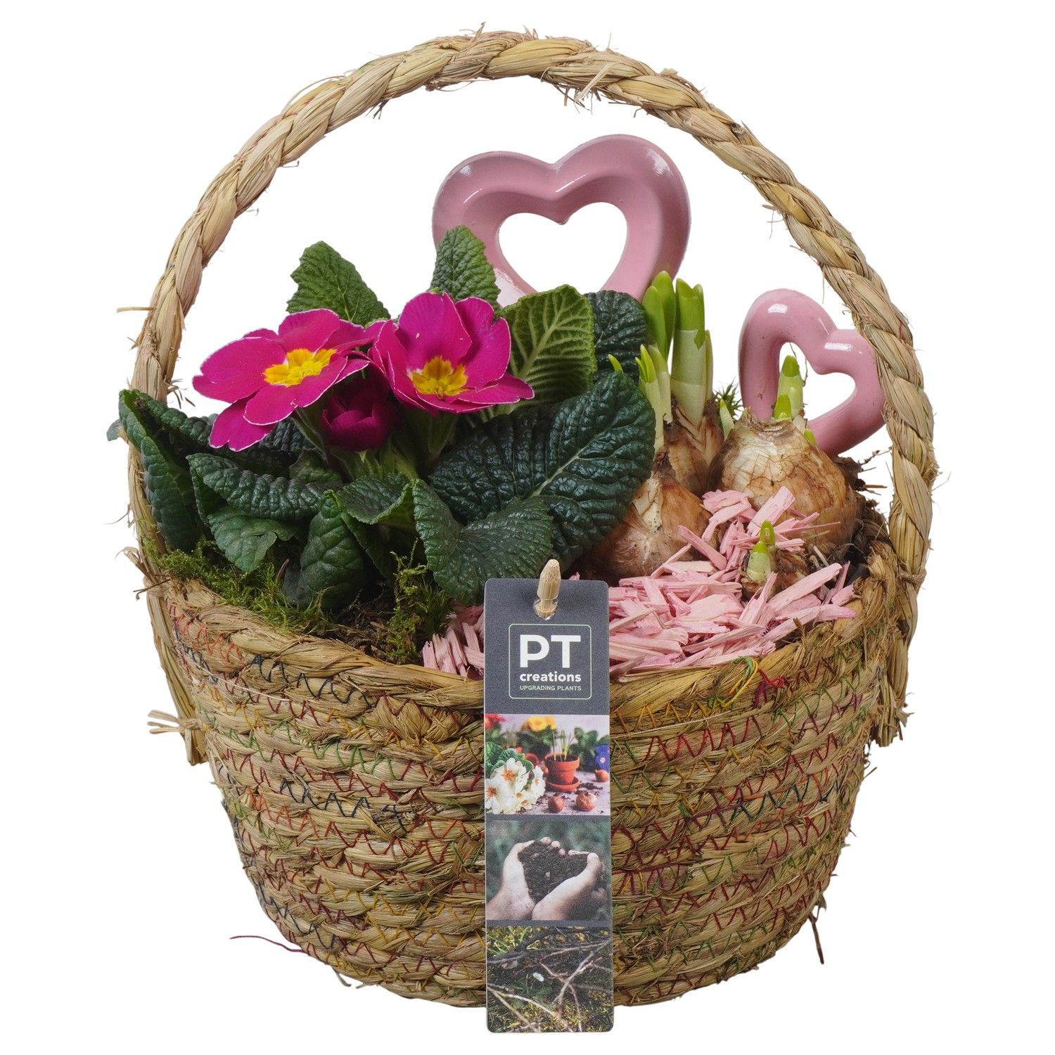 PTVO3634 Arrangement Valentine Outdoor in rieten mand, D 18