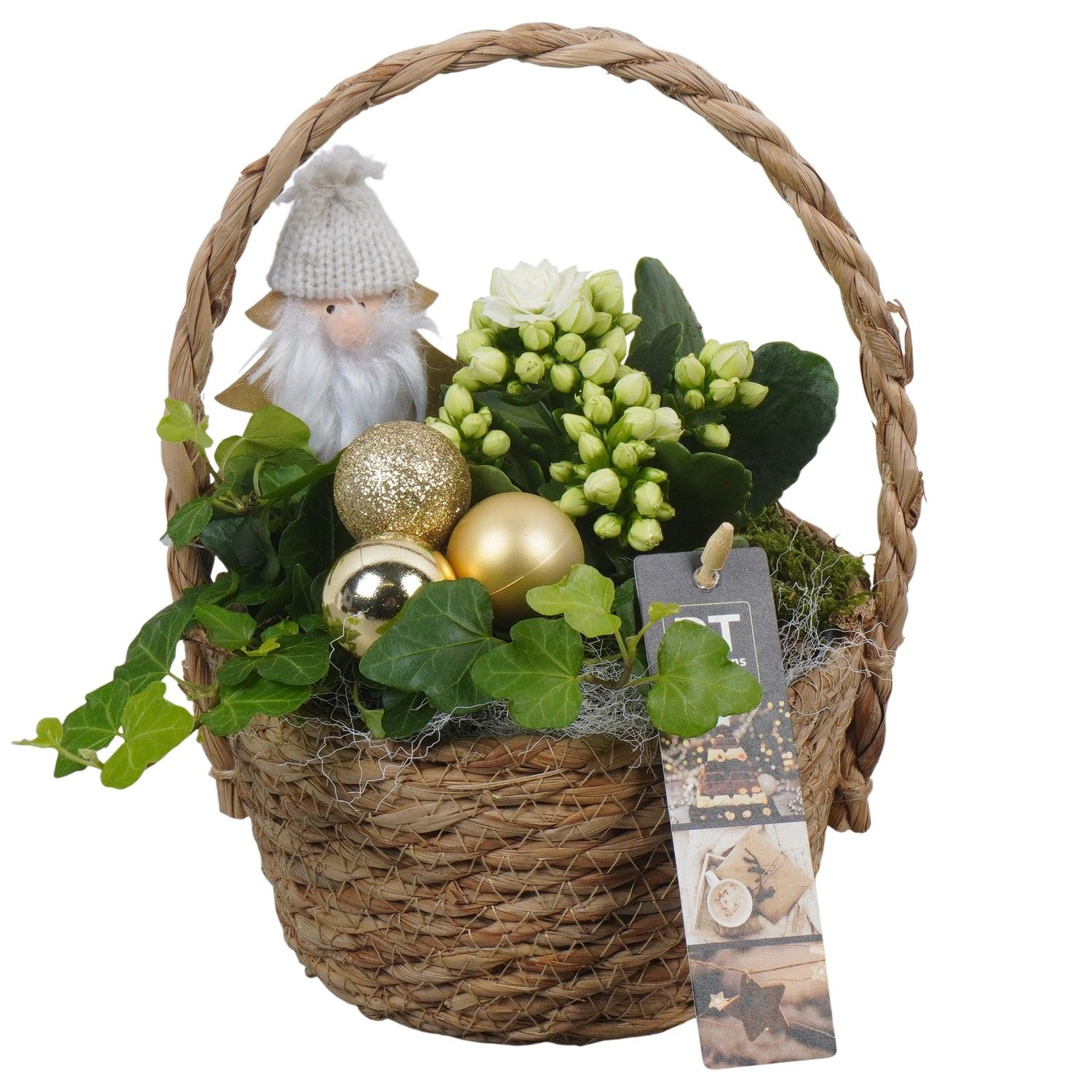 PTCHG5683 Arrangement Christmas Gold in rieten mand, D 15 cm