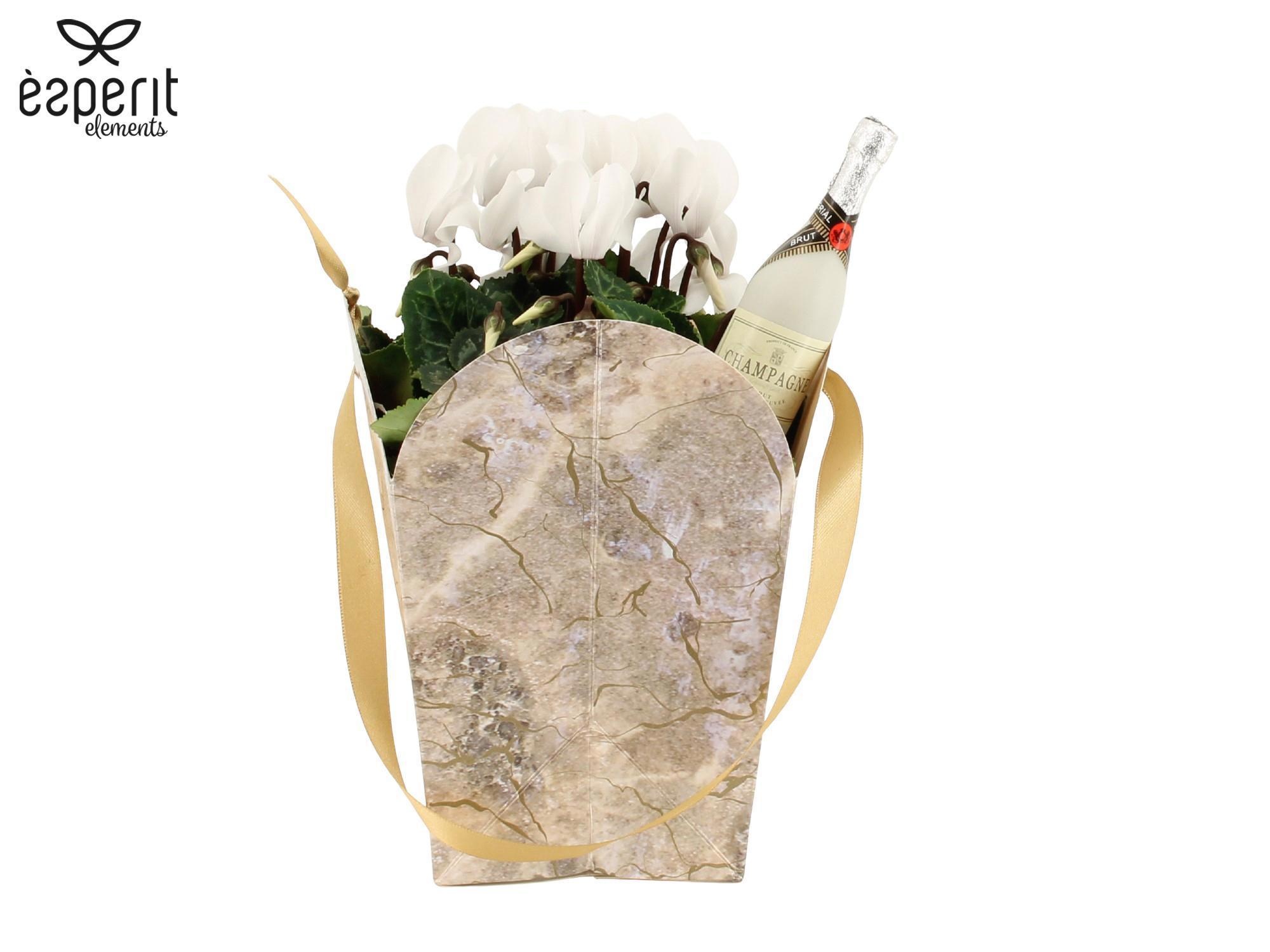 6501342: Solutionss New Year, D 10,5