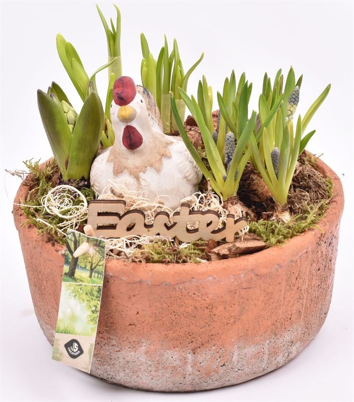 Cement schaal terra kleur 20.5cm, D 22