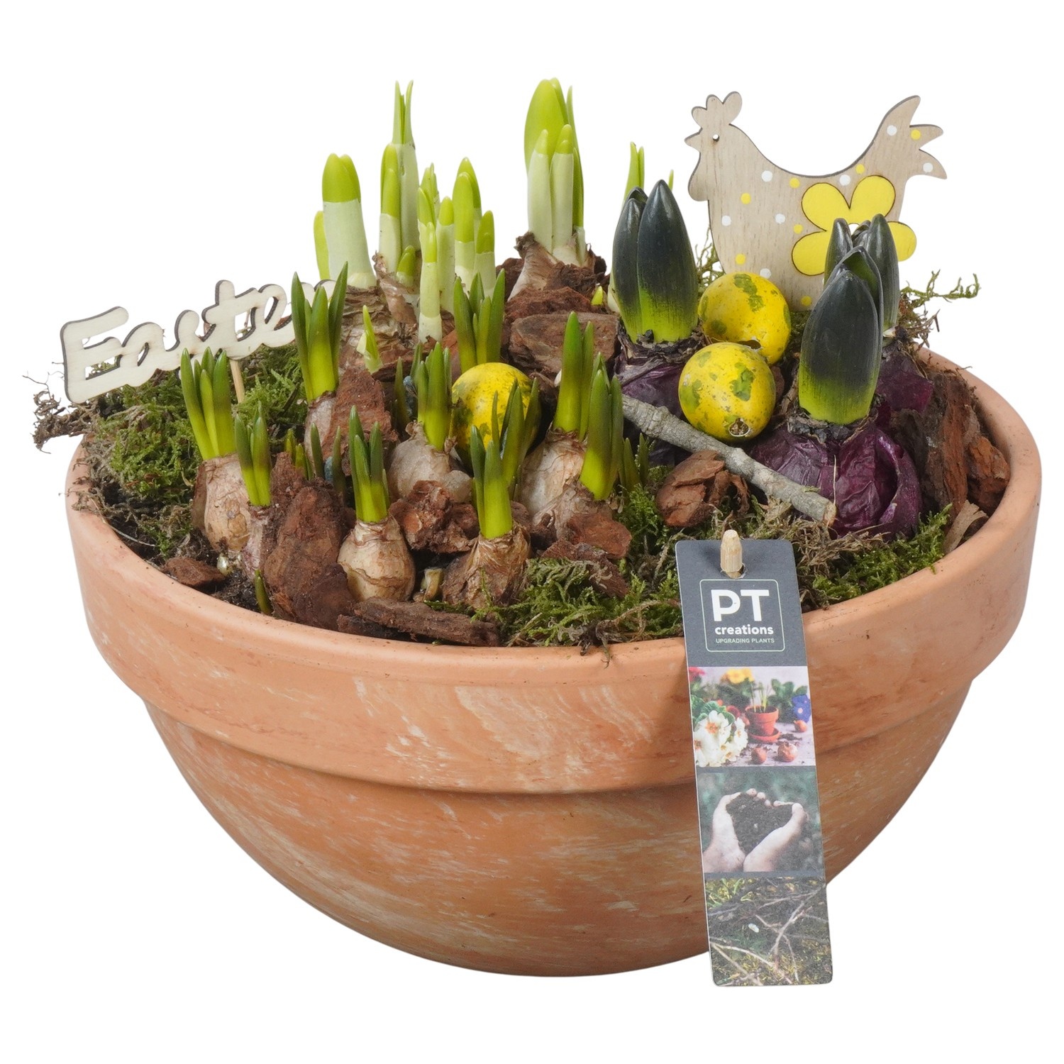 PTBMP5714 Arrangement Easter Bulbs Mix in terracotta schaal, D 26
