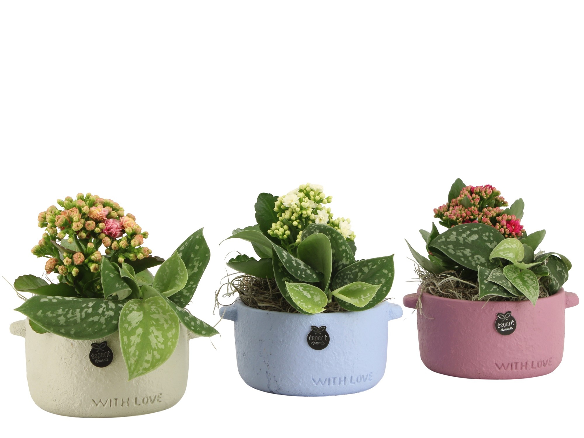 22008: Lovess arrangement, D 14