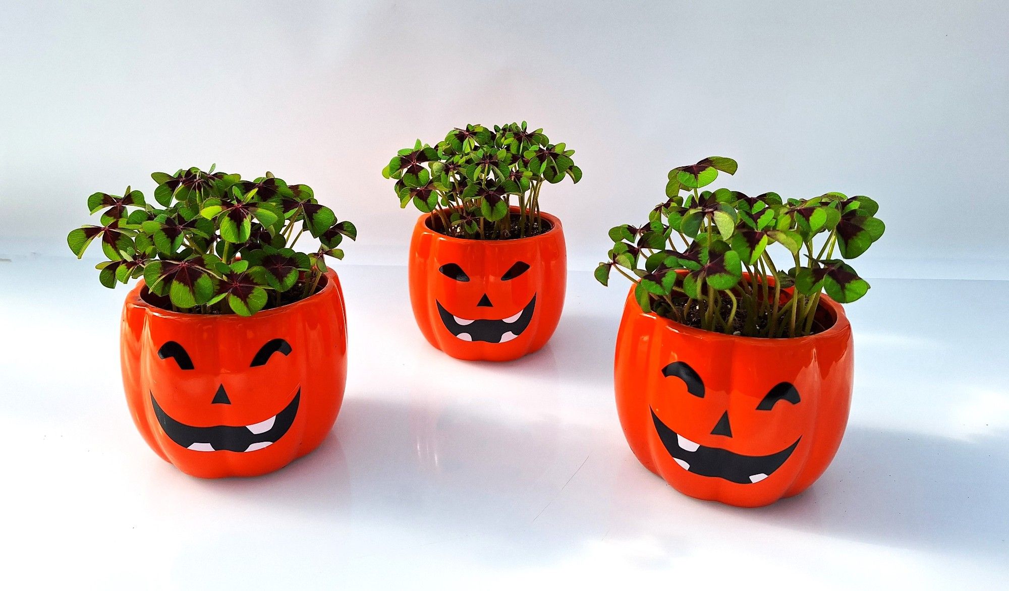 Halloween Iron Cross, D 12 cm