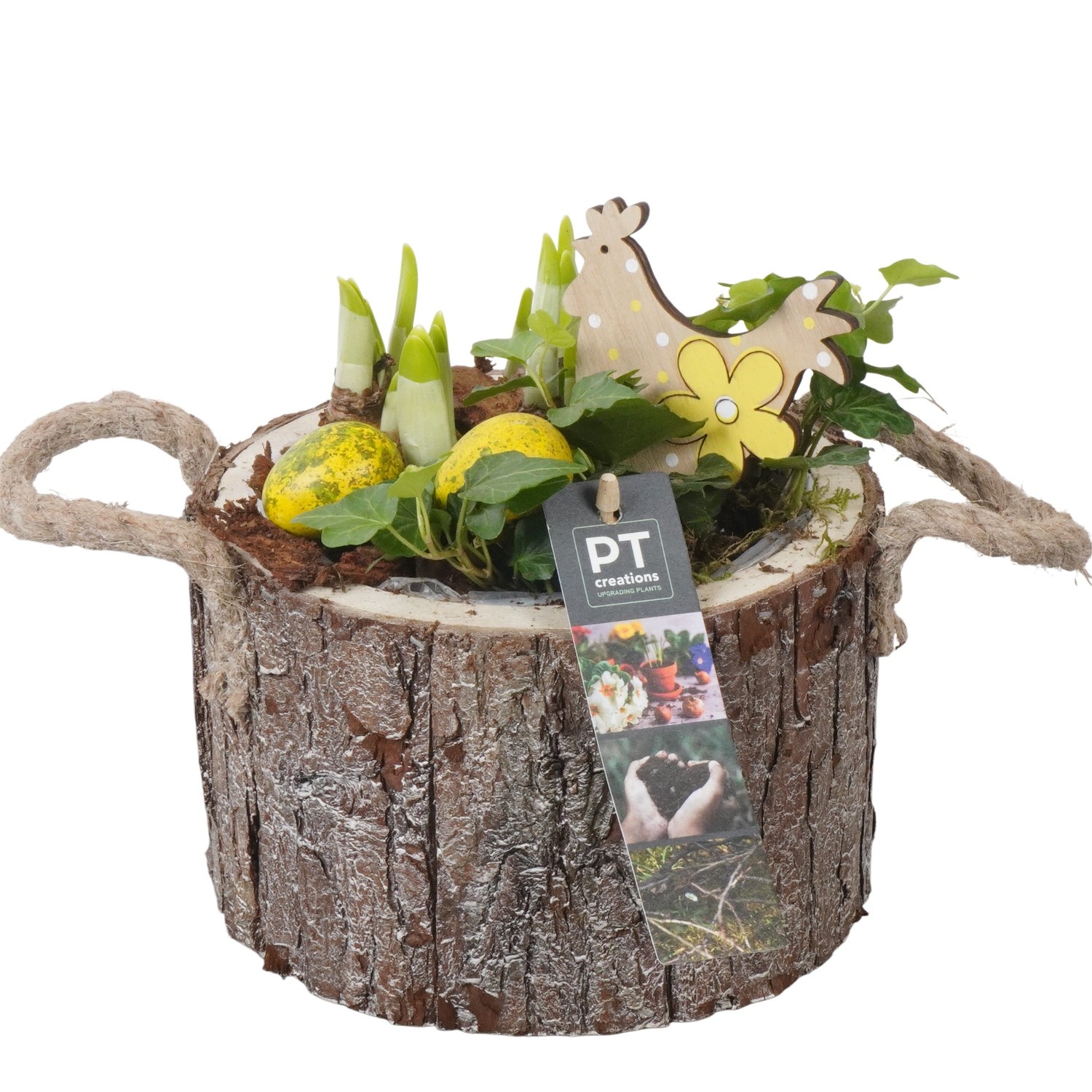 PTBMP5726 Arrangement Easter Bulbs Mix in houten pot, D 16