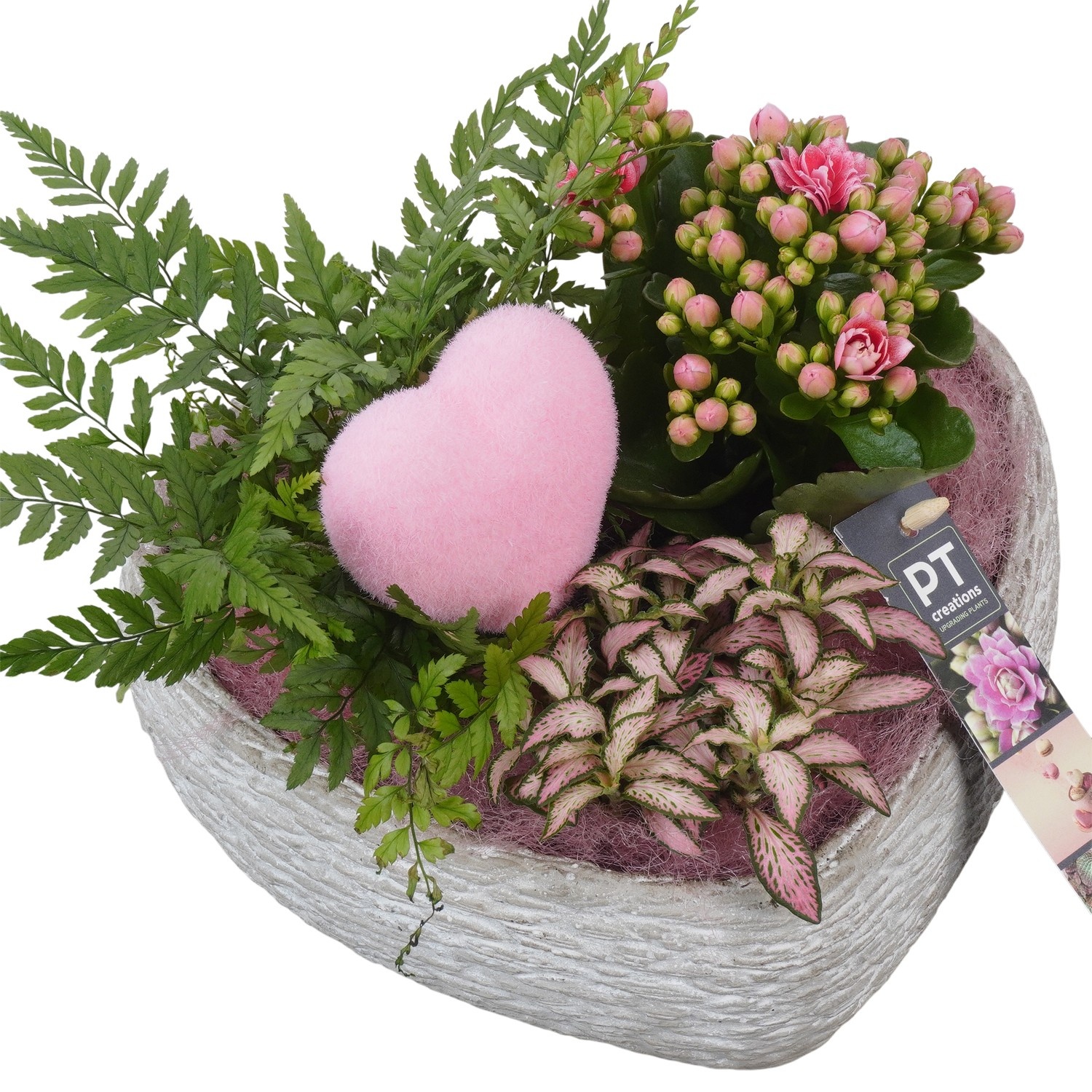 PTVMB2291 Arrangement Valentines-Mothersday in beton hart, D 21