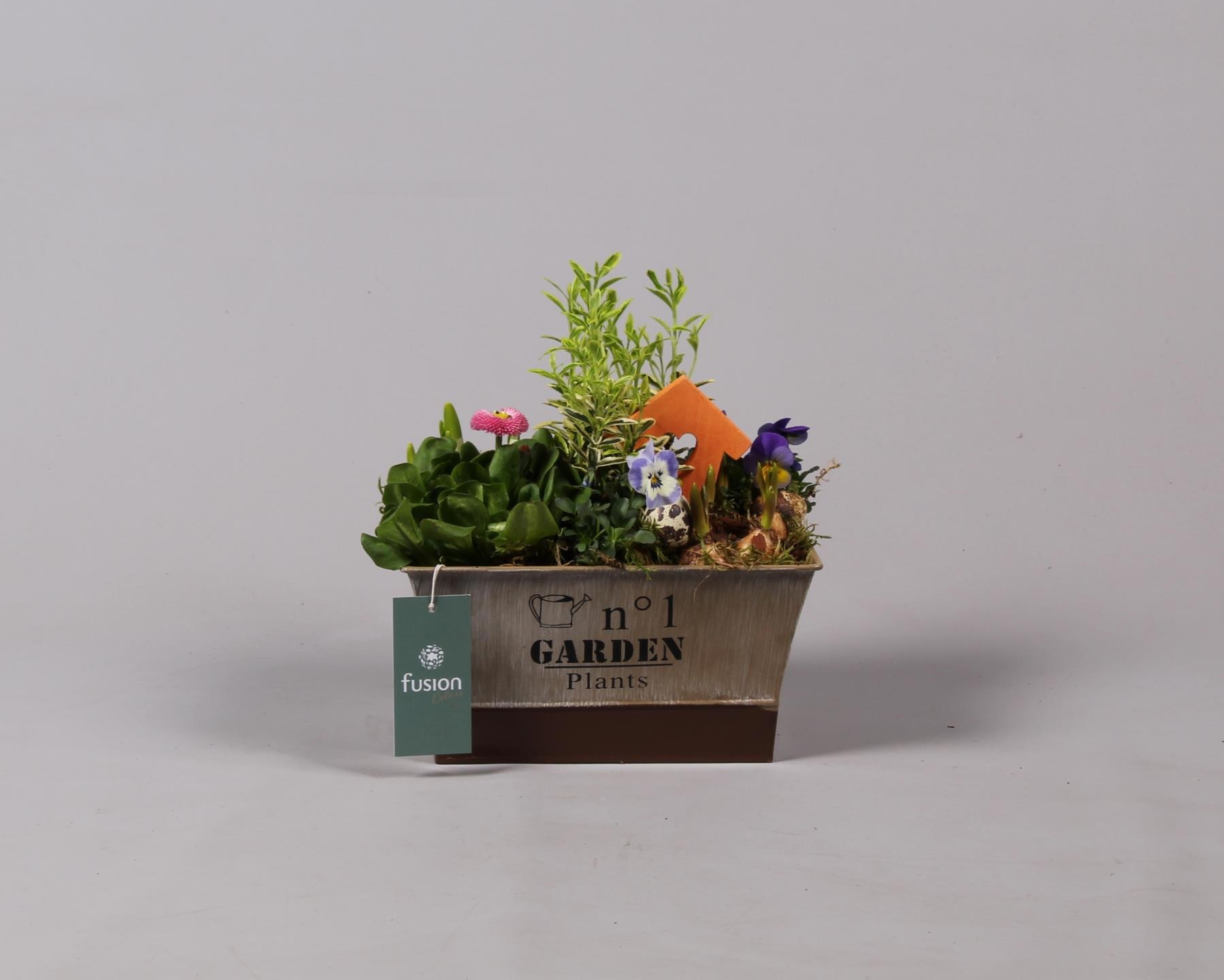 Pasen zinken pot vierkant met Tuinplanten Arrangem, D 22