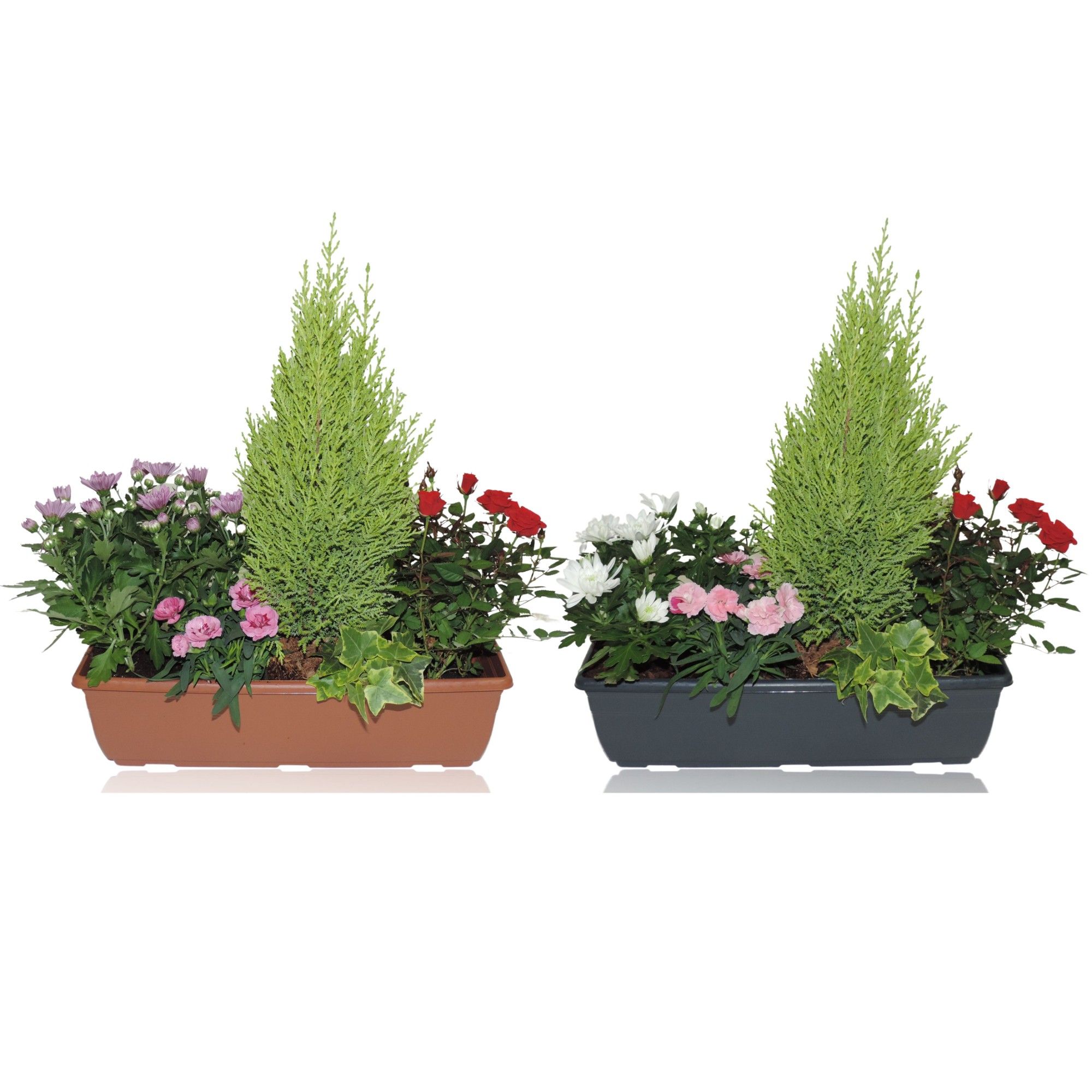 Arrangement Autumn Classic Balkonbak 40 cm, D 40