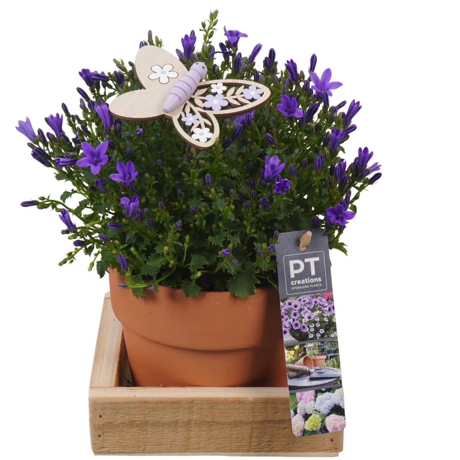 PTPP6919 Arrangement Patio in terracotta pot met hout, D 14