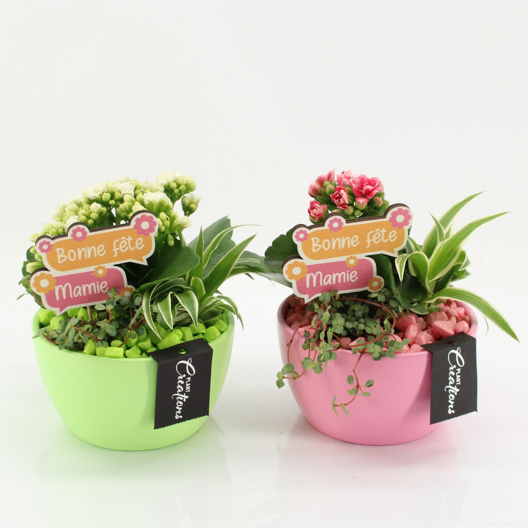 FGCR-2615M Fête des grands-mères, D 14