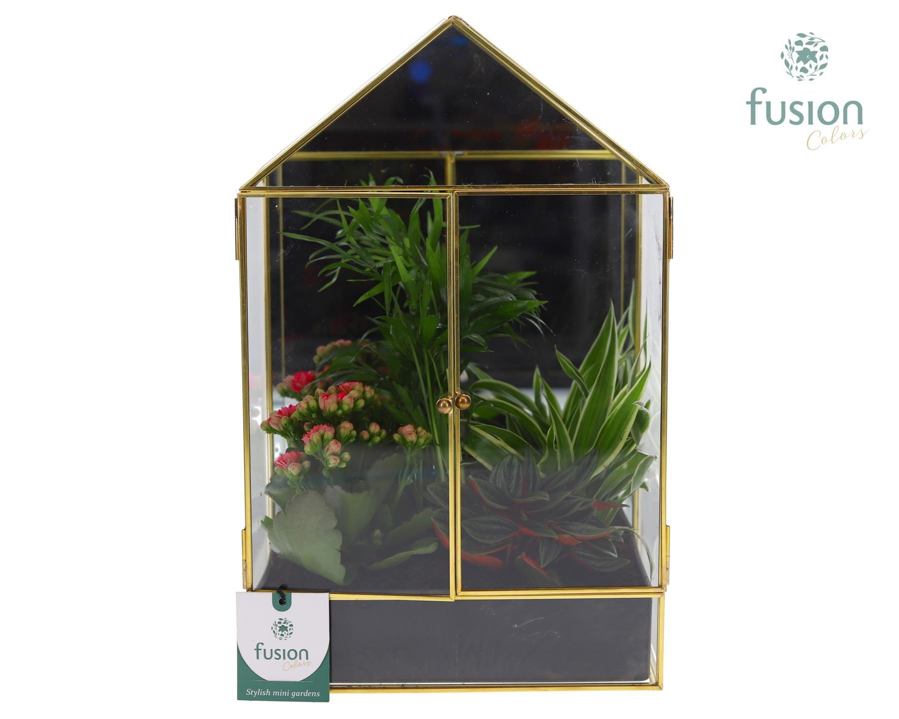 Metaal Geometrische plantenbak met arrangement, D 21