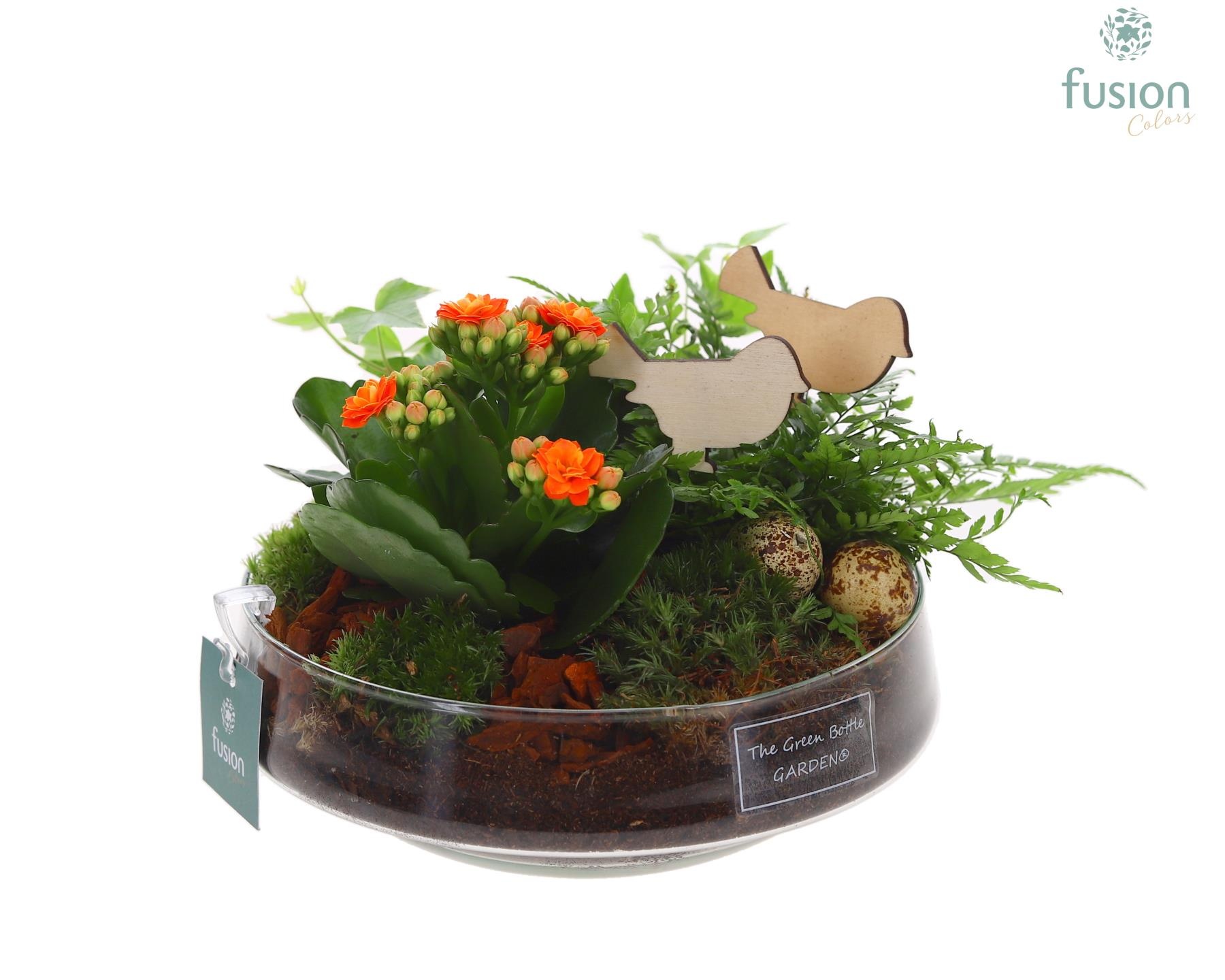 Green Bottle Iris Medium Pasen met arrangement, D 19