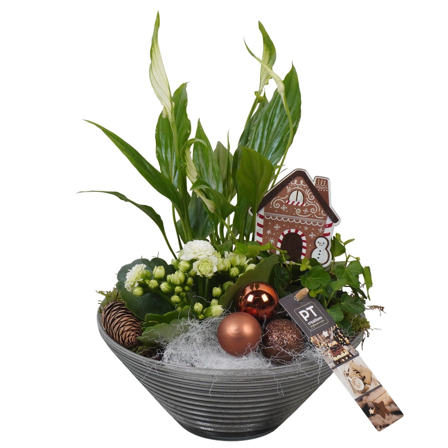 PTCHB9836 Arrangement Christmas Bronze in glas schaal, D 19 cm