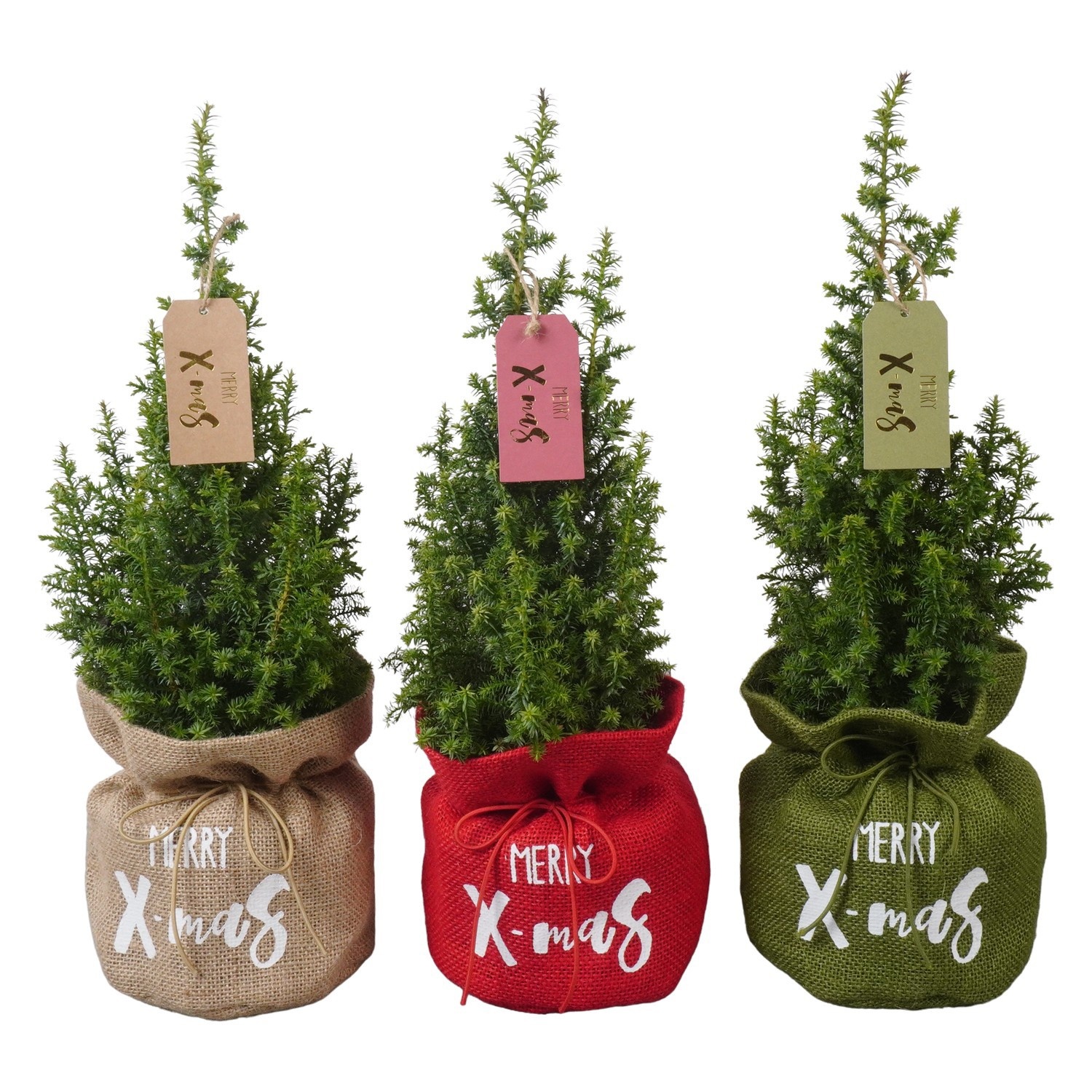 PTK261003 Top Point in jute mix met decoratie, D 13