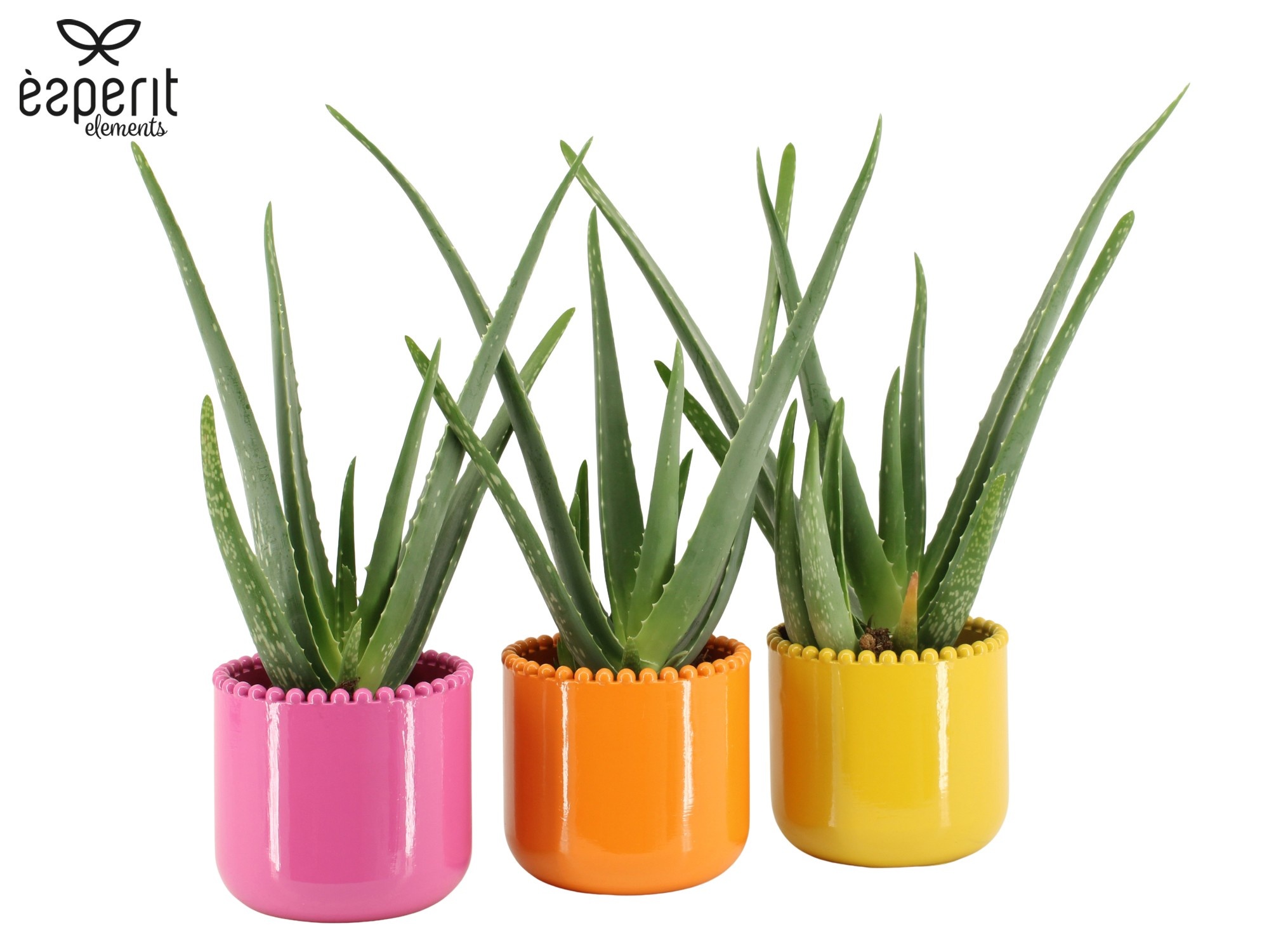 7503587: Solutionss Reinvention, D 12