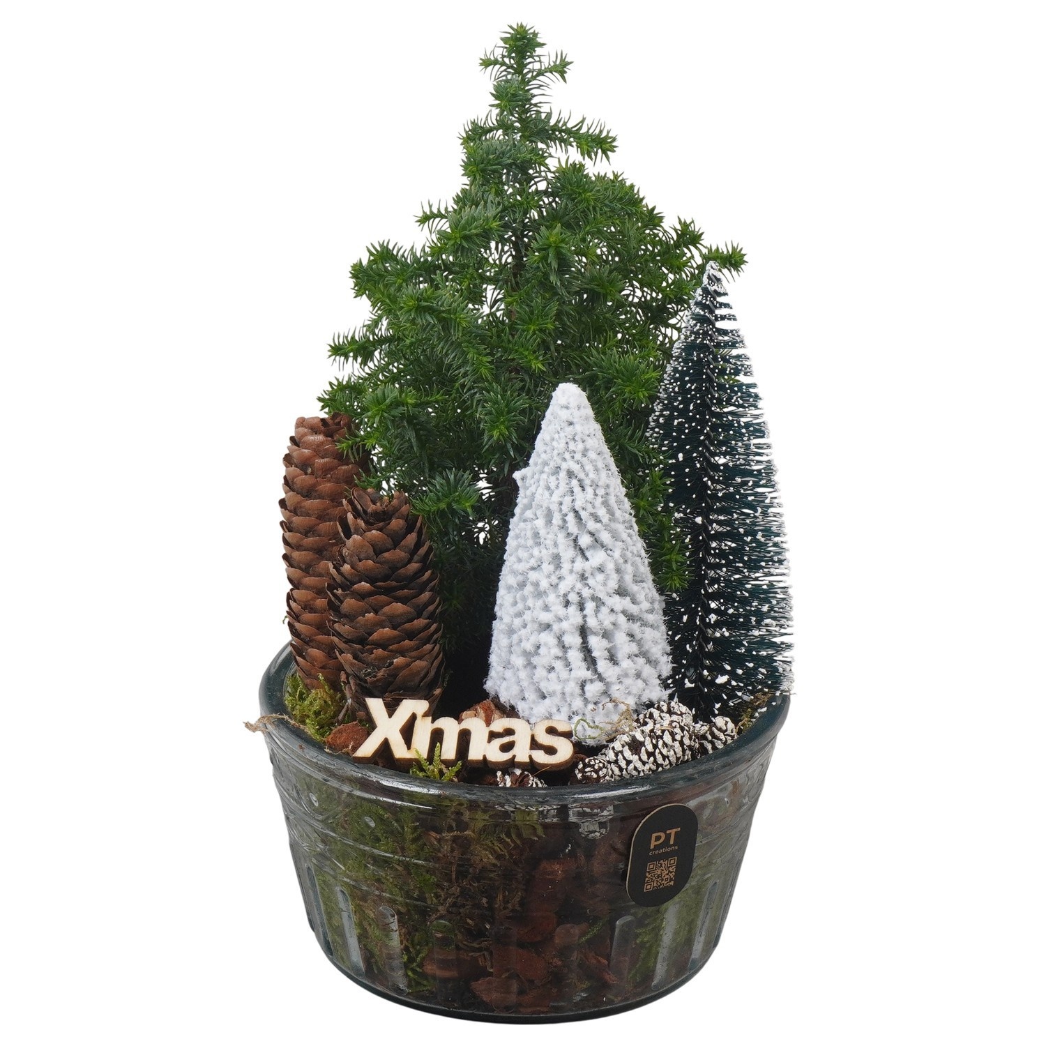 PTCWW7735 Arrangement Winter in glas schaal, D 14