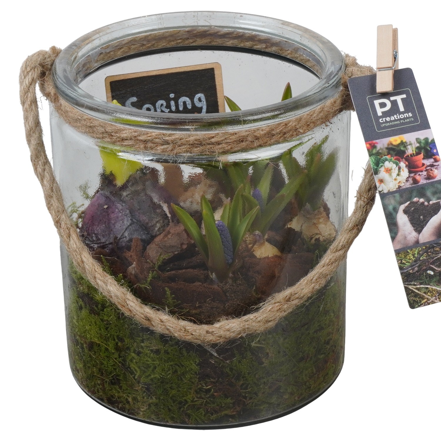 PTBM3948 Arrangement Flower Bulbs Mix in glazen vaas, D 14