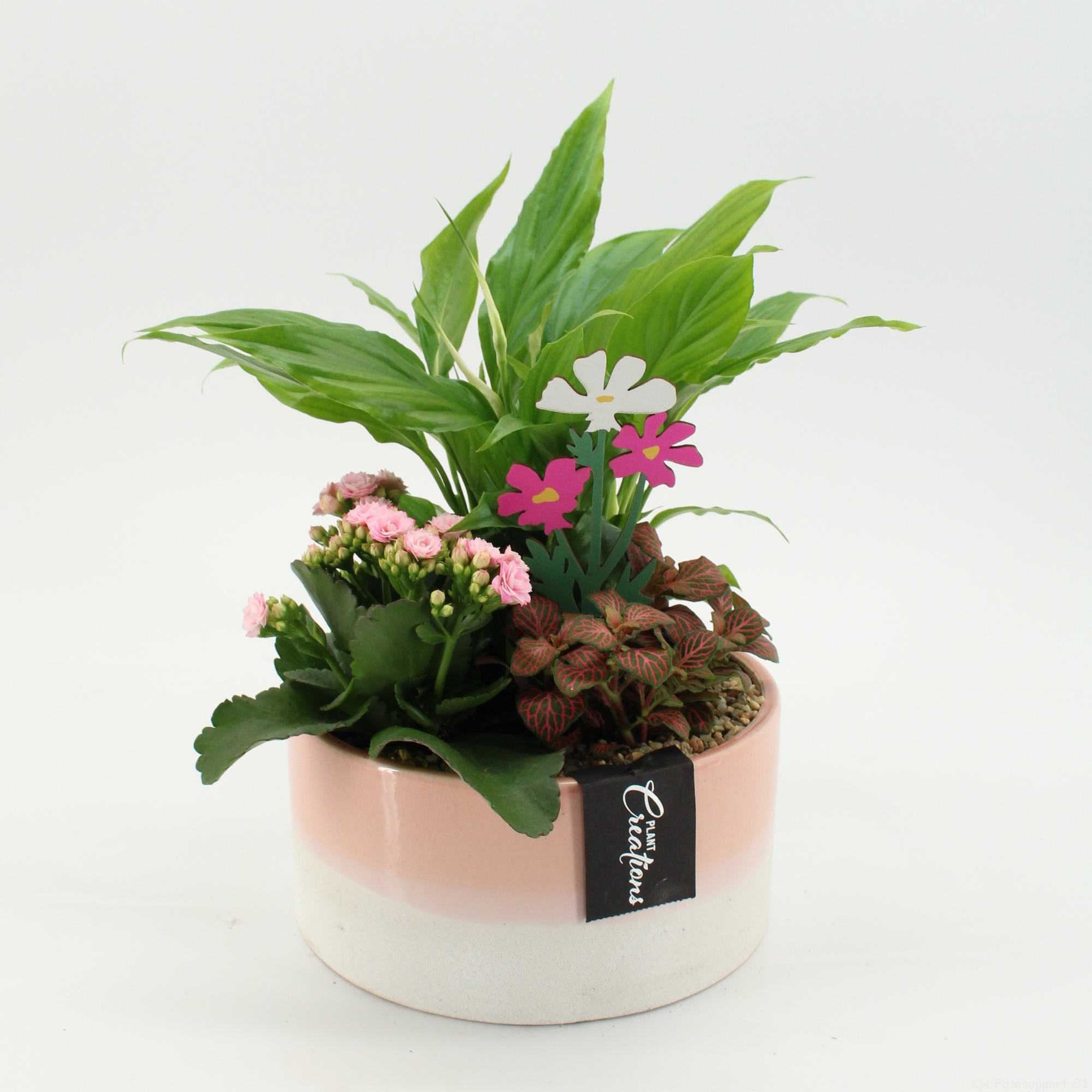 ENMD-2635 English Mother's Day, D 18