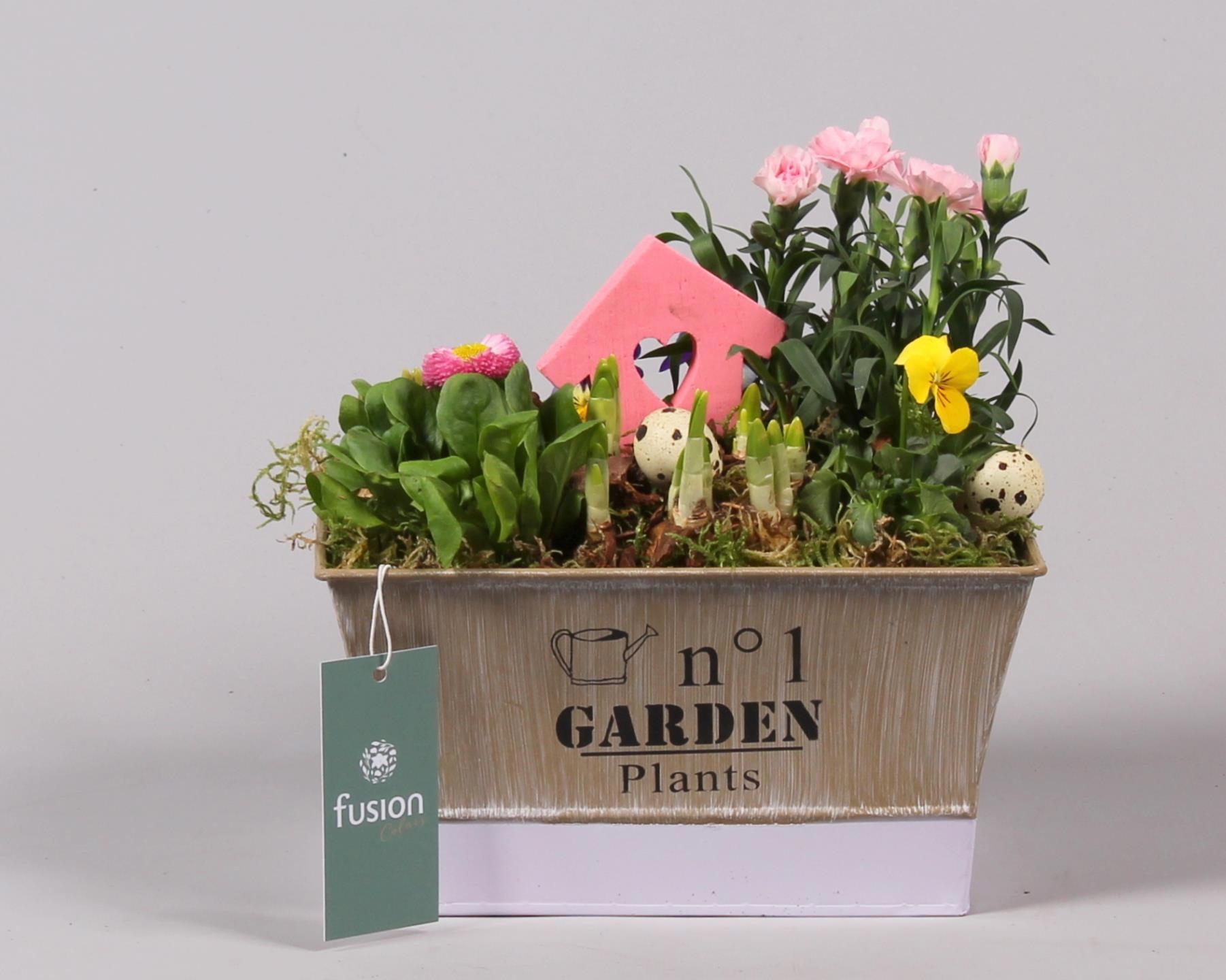 Pot zink paars Pasen met Arrangement, D 22