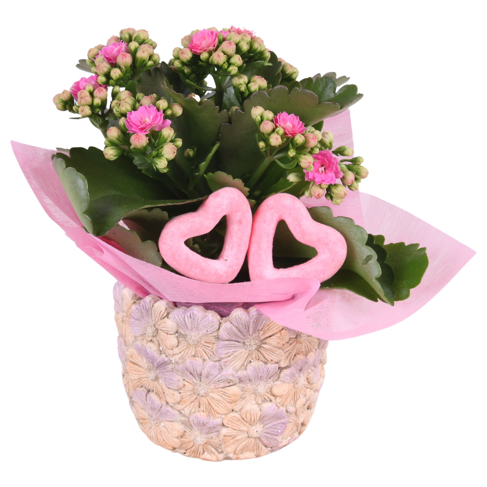 Mothersday Arr. Indoor Ceramic Pot with Flower Deco Ø11cm 1PP, D 11