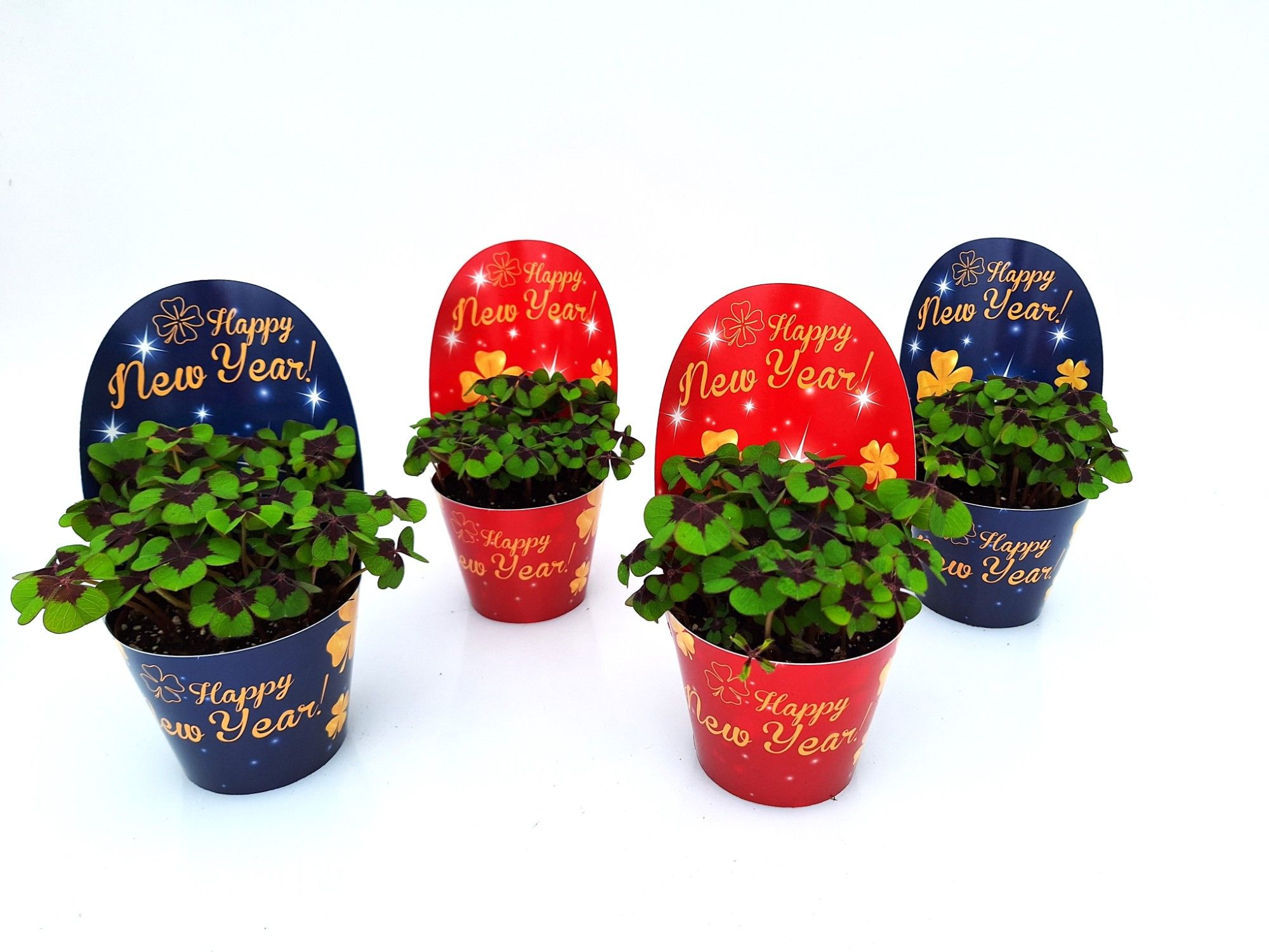 Happy New Year UK, D 9 cm