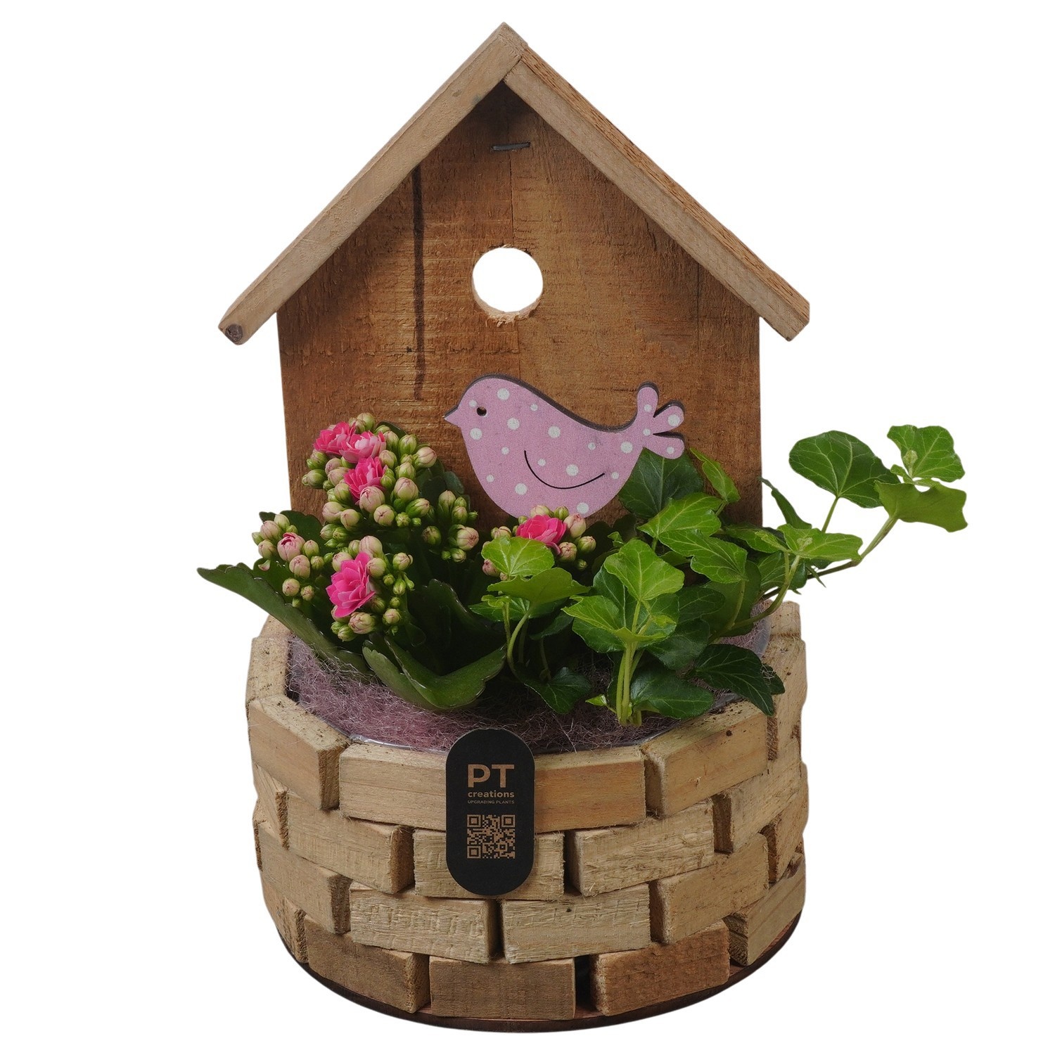 PTIB5261 Arrangement Indoor in houten vogelhuis, D 16