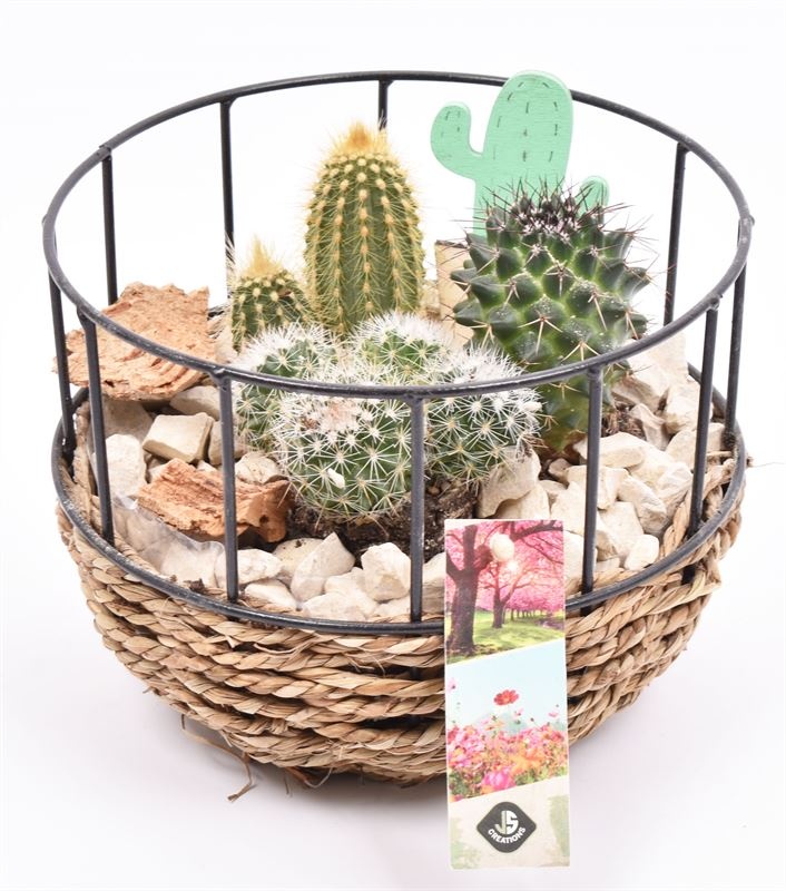 Gaasmand met touw 18cm, D 18