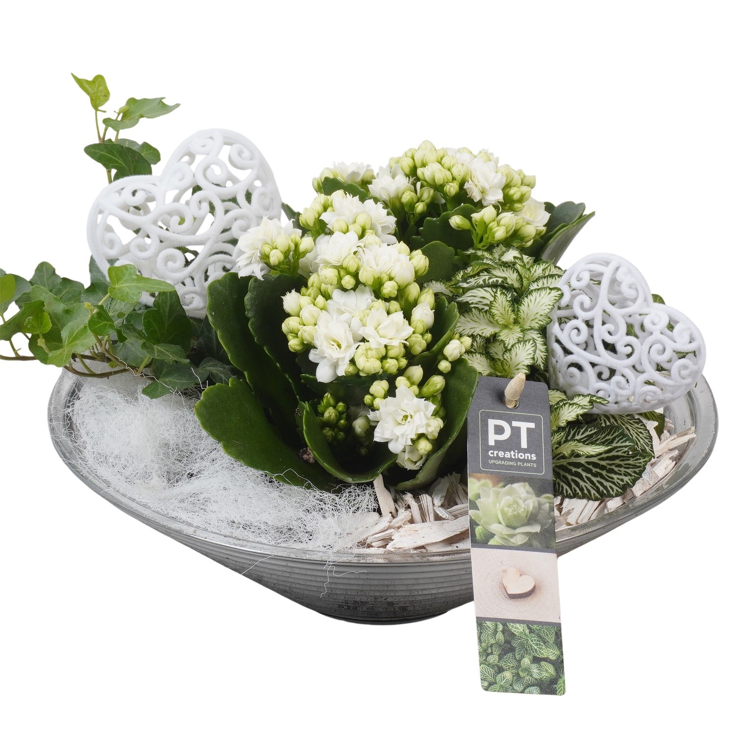 PTVMG4973 Arrangement Valentines-Mothersday in glas schaal, D 26