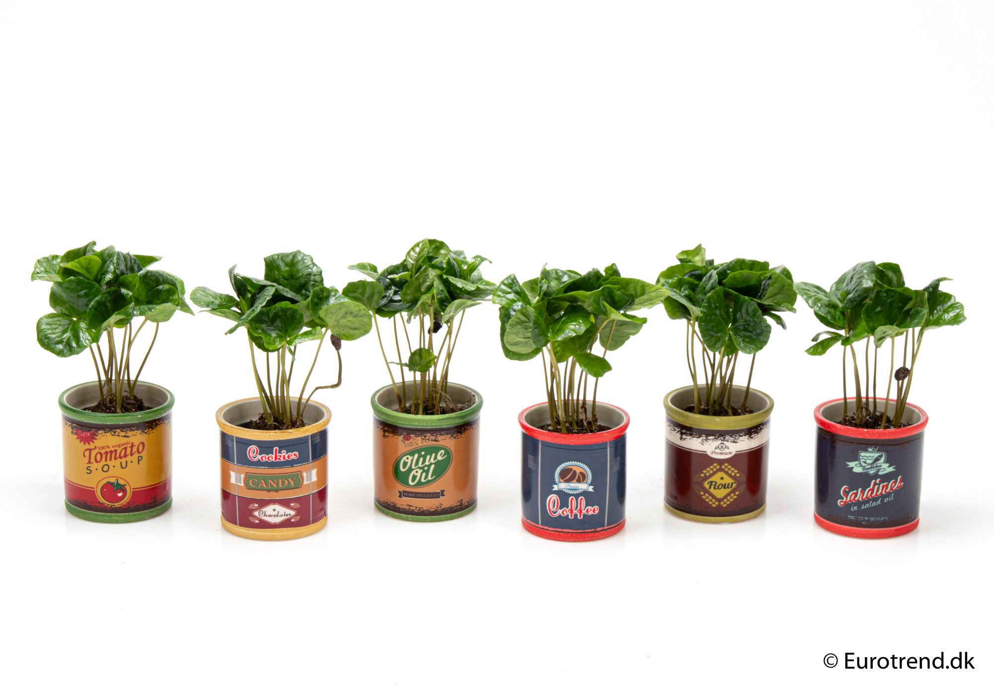 Coffea in ceramic - New Look 2025, D 6