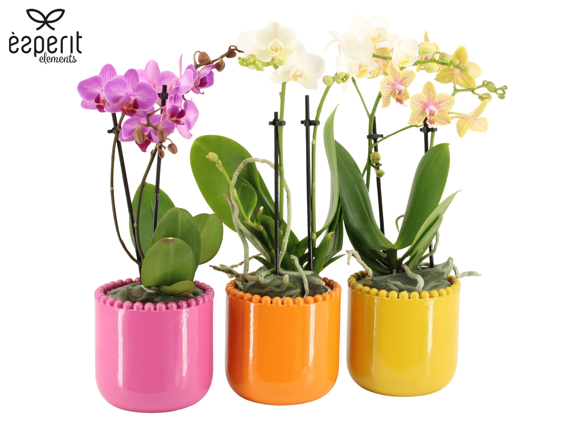 7503541: Solutionss Reinvention, D 9