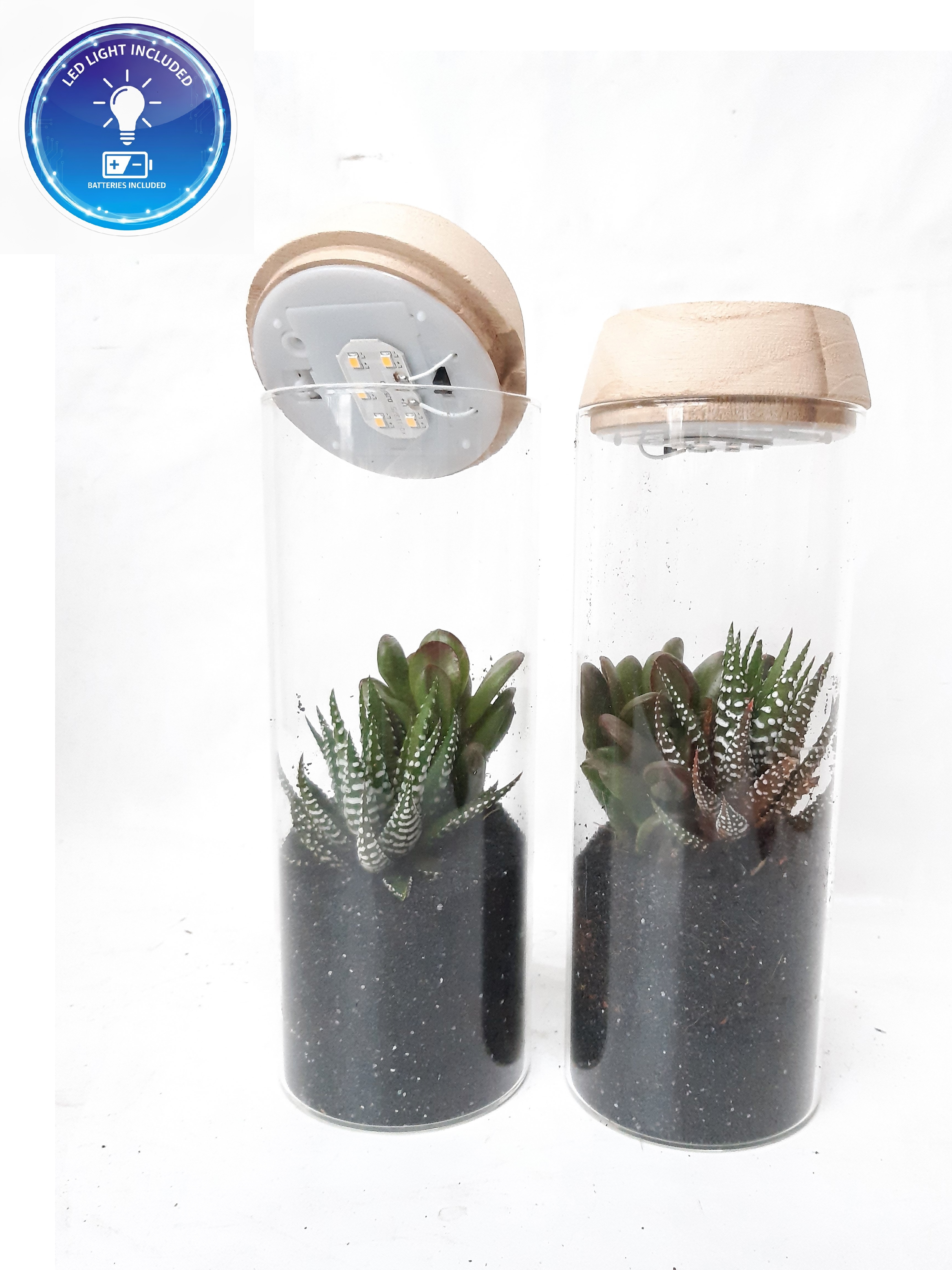 LV23 Glasvaasje + Houtdeksel en LED, D 8