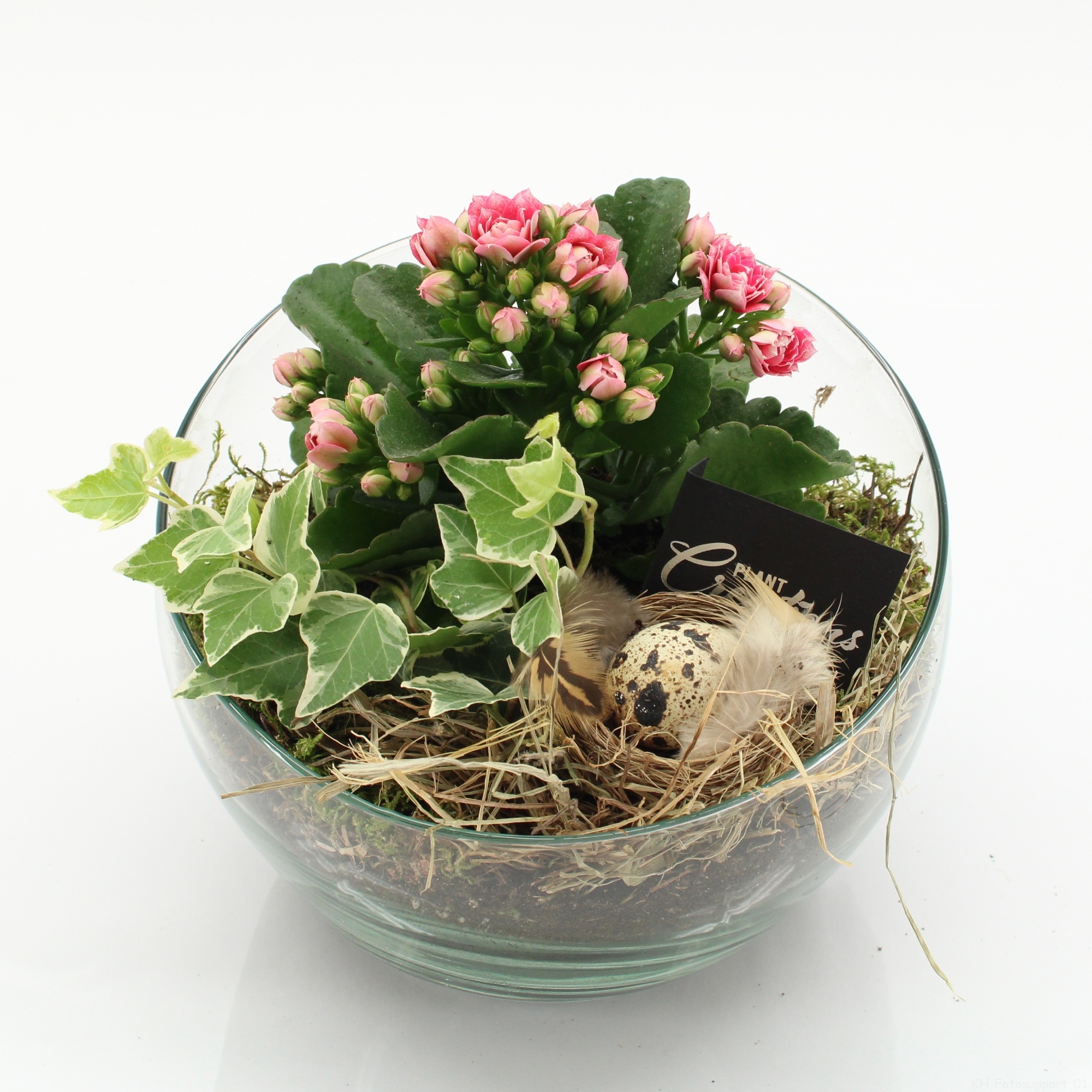 PSCR-2613RZ Easter Essentials, D 18 cm