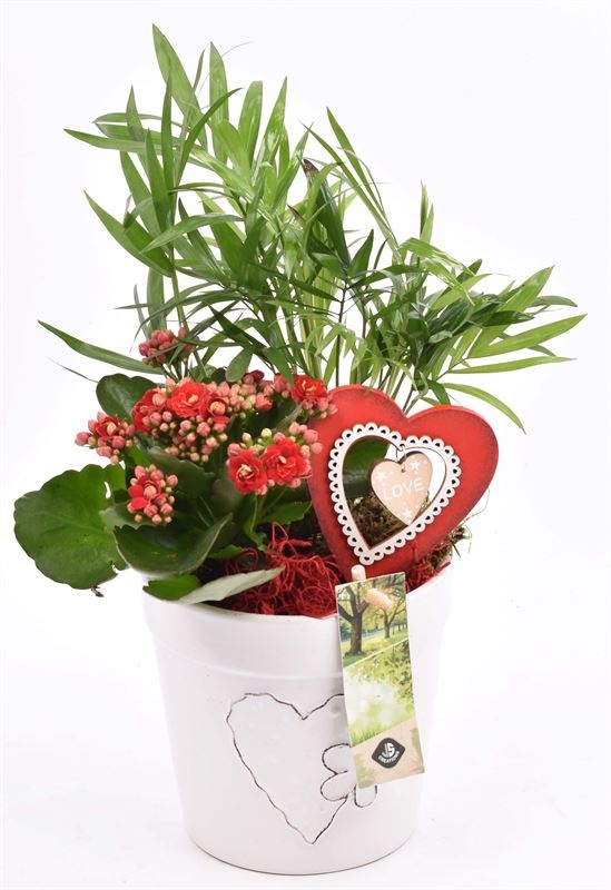 Keramiek pot wit met hart 13cm, D 13