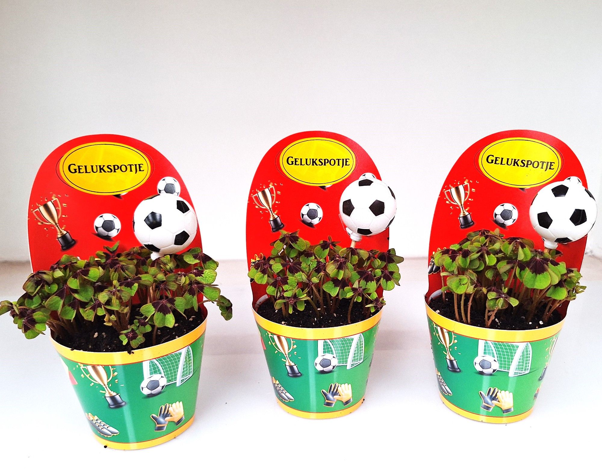 EK 2024 Nederland, D 9