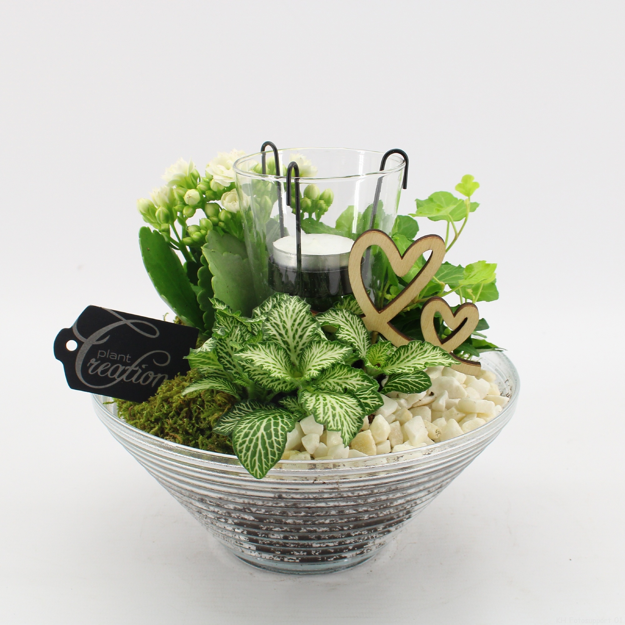 FDRM-2603W Romantic Fundamentals, D 20