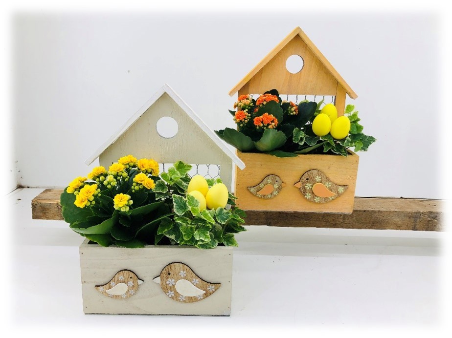 TDM PASEN 26 : Vogelhuis met diverse planten, D 22