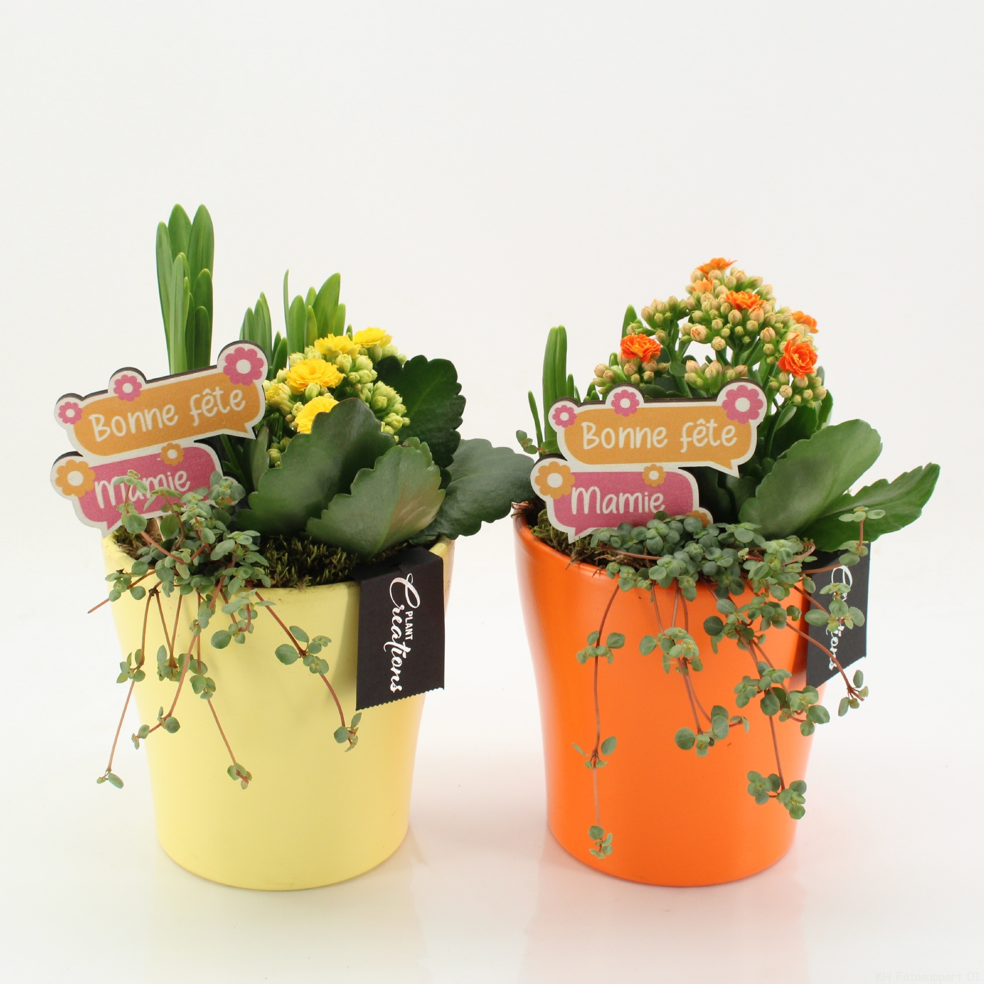 FGCR-2605M Fête des grands-mères, D 14