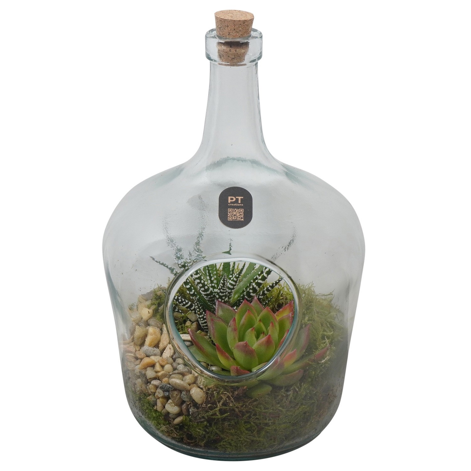 PTIG2713 Arrangement Indoor in glas fles, D 16