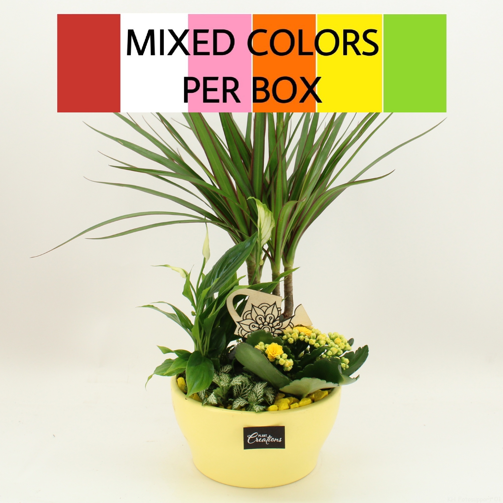 FDCR-2609M Basic Fundamentals, D 19